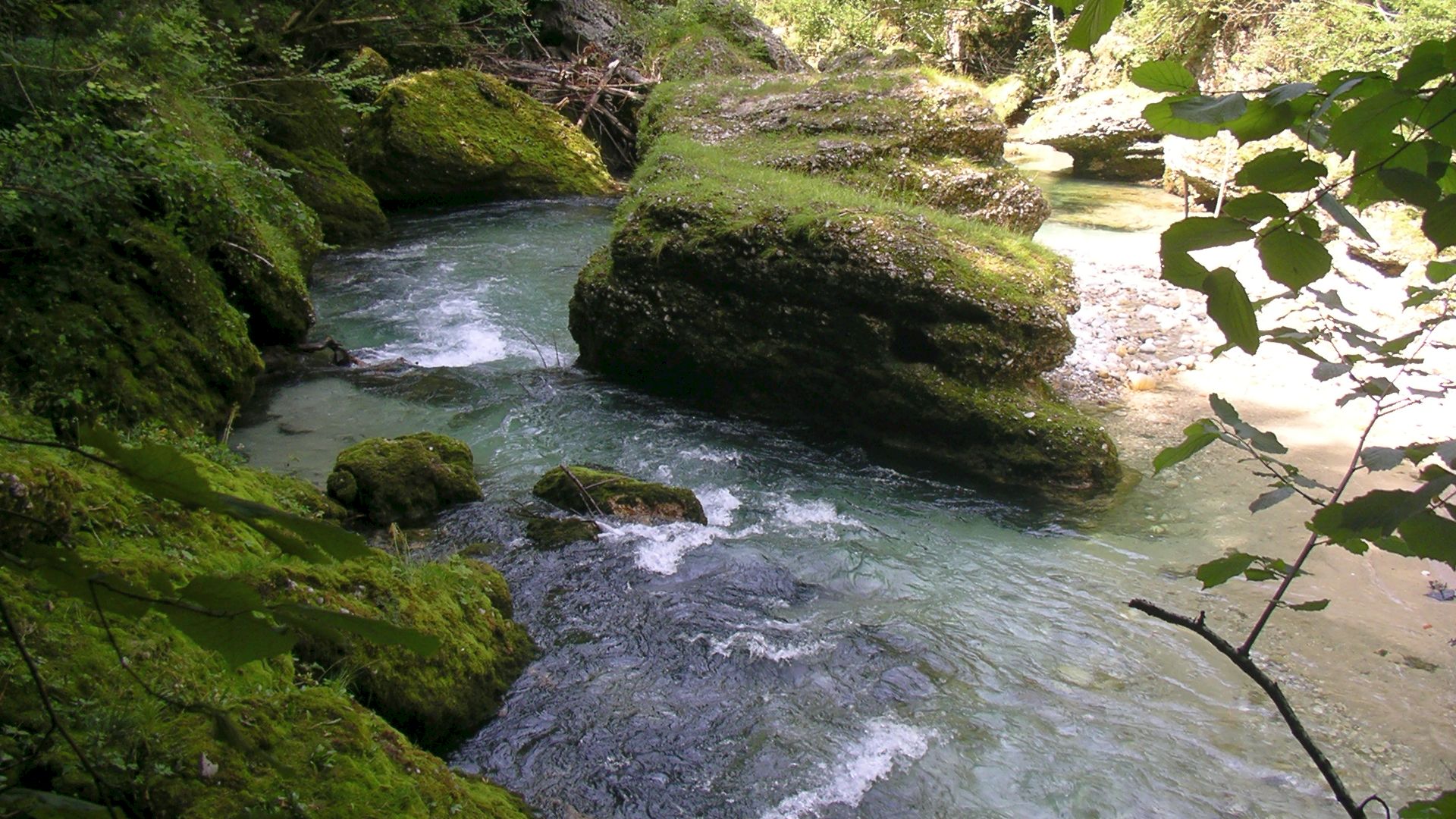 Kajak, Fluss Krumme Steyrling, Abschnitt Endschlucht die schöne Endschlucht 