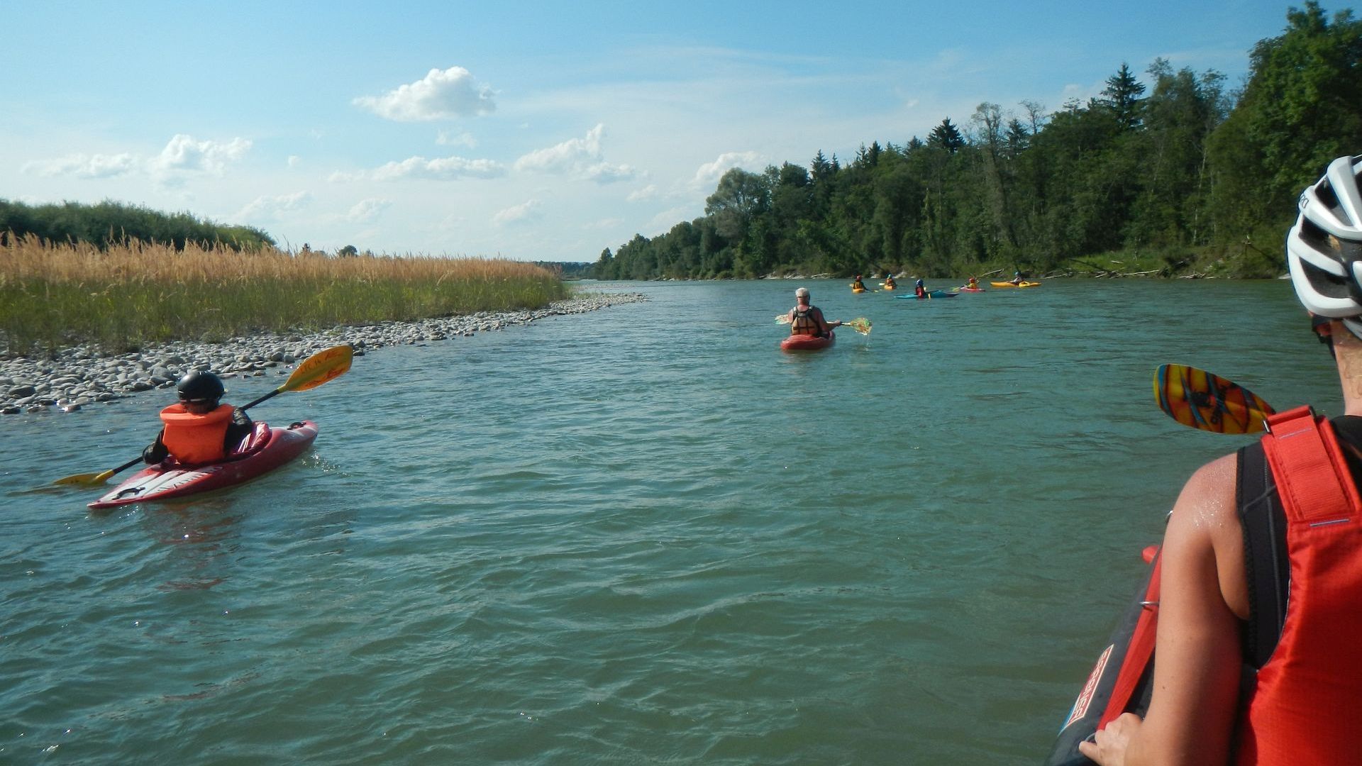 Kajak, Fluss Isar, Abschnitt Bad Tölz - Schäftlarner Brücke in den Isarauen bei Geretsried 🛶 LFC