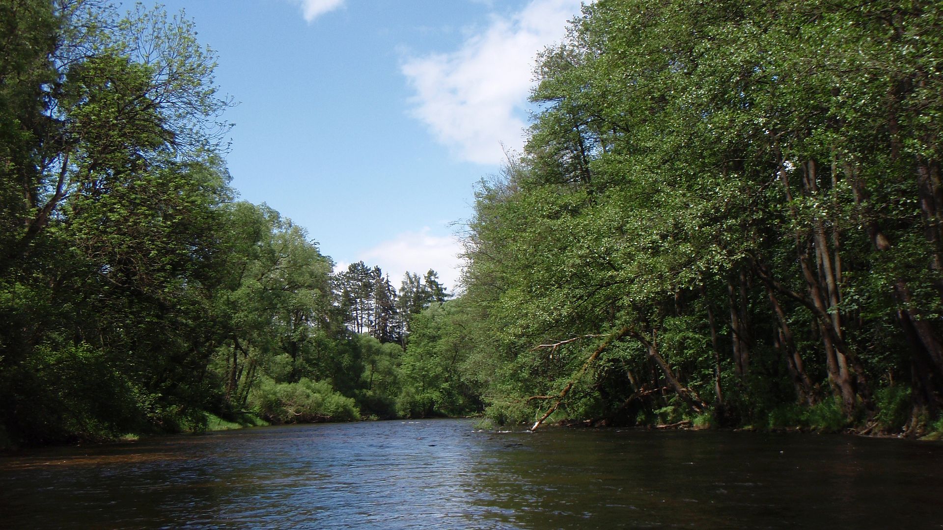 Kajak, Fluss Otava, Abschnitt Sušice - Horažďovice schöne Waldlandschaft 