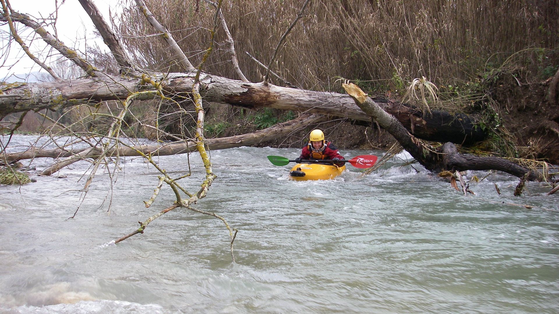 Kajak, Fluss Tanagro, Abschnitt Auletta - Stazione di Sicignano zahlreiche Baumhindernisse 🛶 Nicole D.