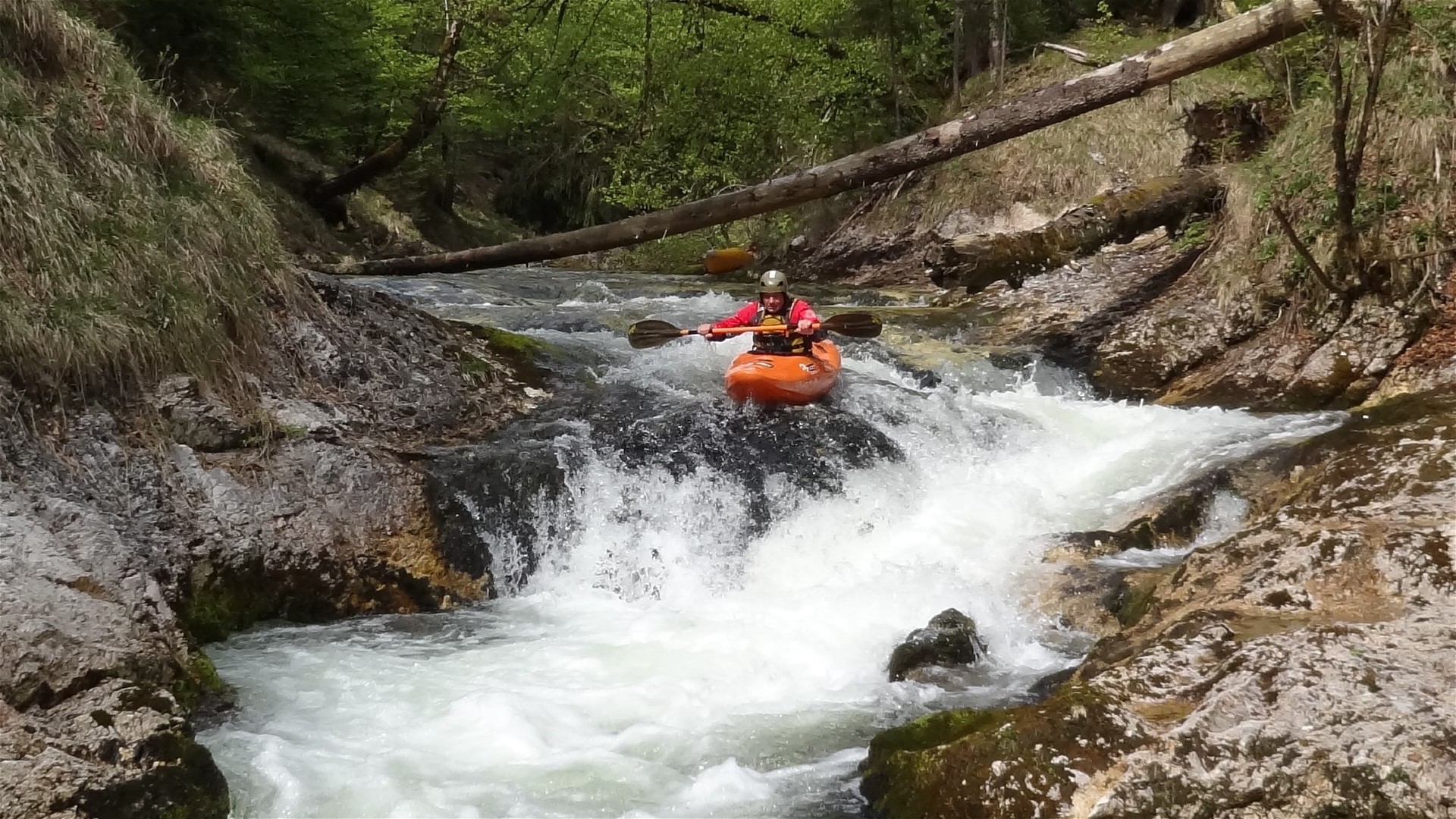 Kajak, Fluss Gimbach, Abschnitt Gimbach Einfahrt Zwangspassage 🛶 Günther R.