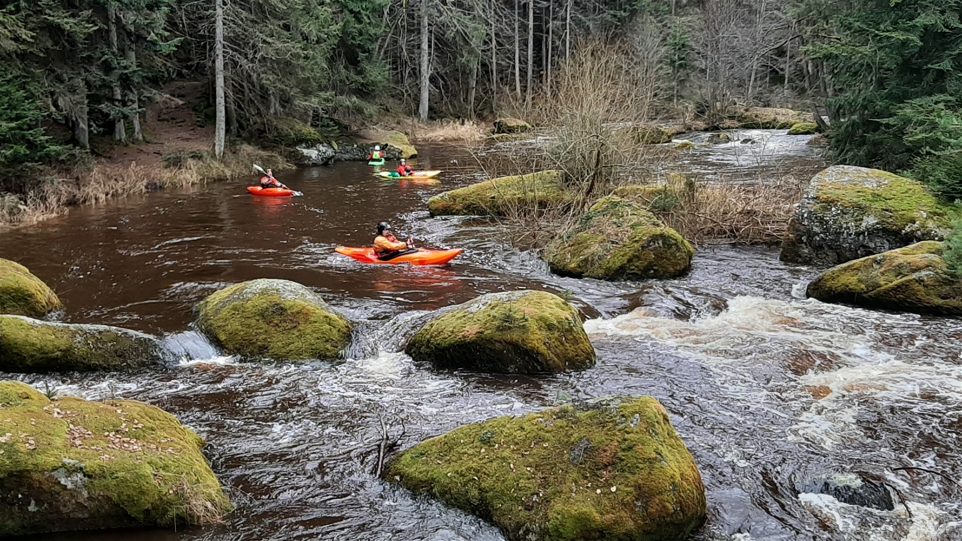 Kajak, Fluss Kamp, Abschnitt Roiten - Utissenbach vor Uttissenbach 