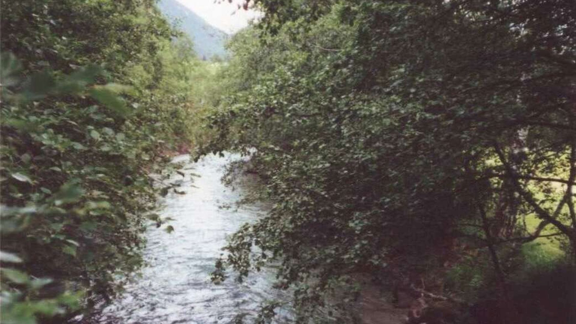 Kajak, Fluss Gschnitzbach, Abschnitt Gschnitz - Trins typischer Flusscharakter 