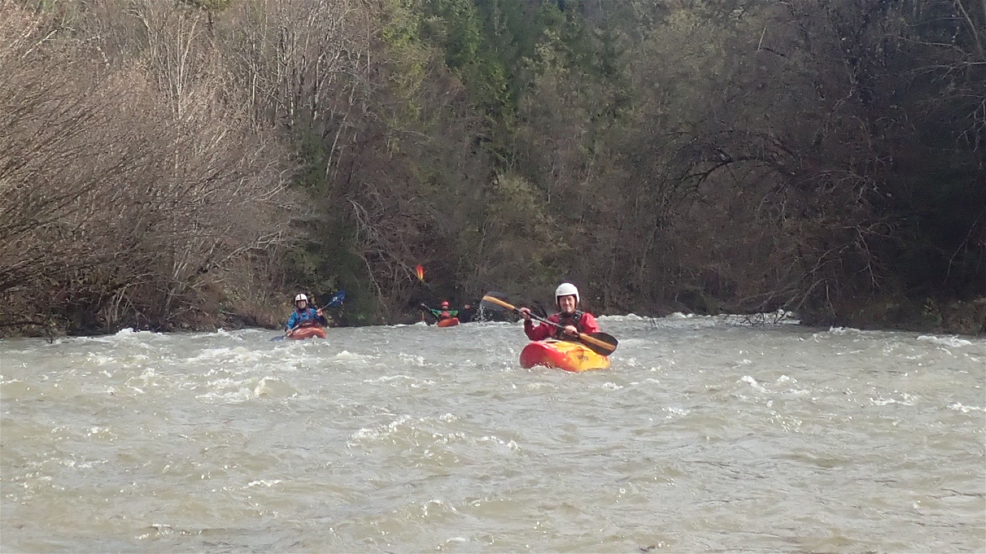 Kajak, Fluss Krumme Steyrling, Abschnitt Oberlauf nach Parkplatz Scheiblingau 🛶 LFC
