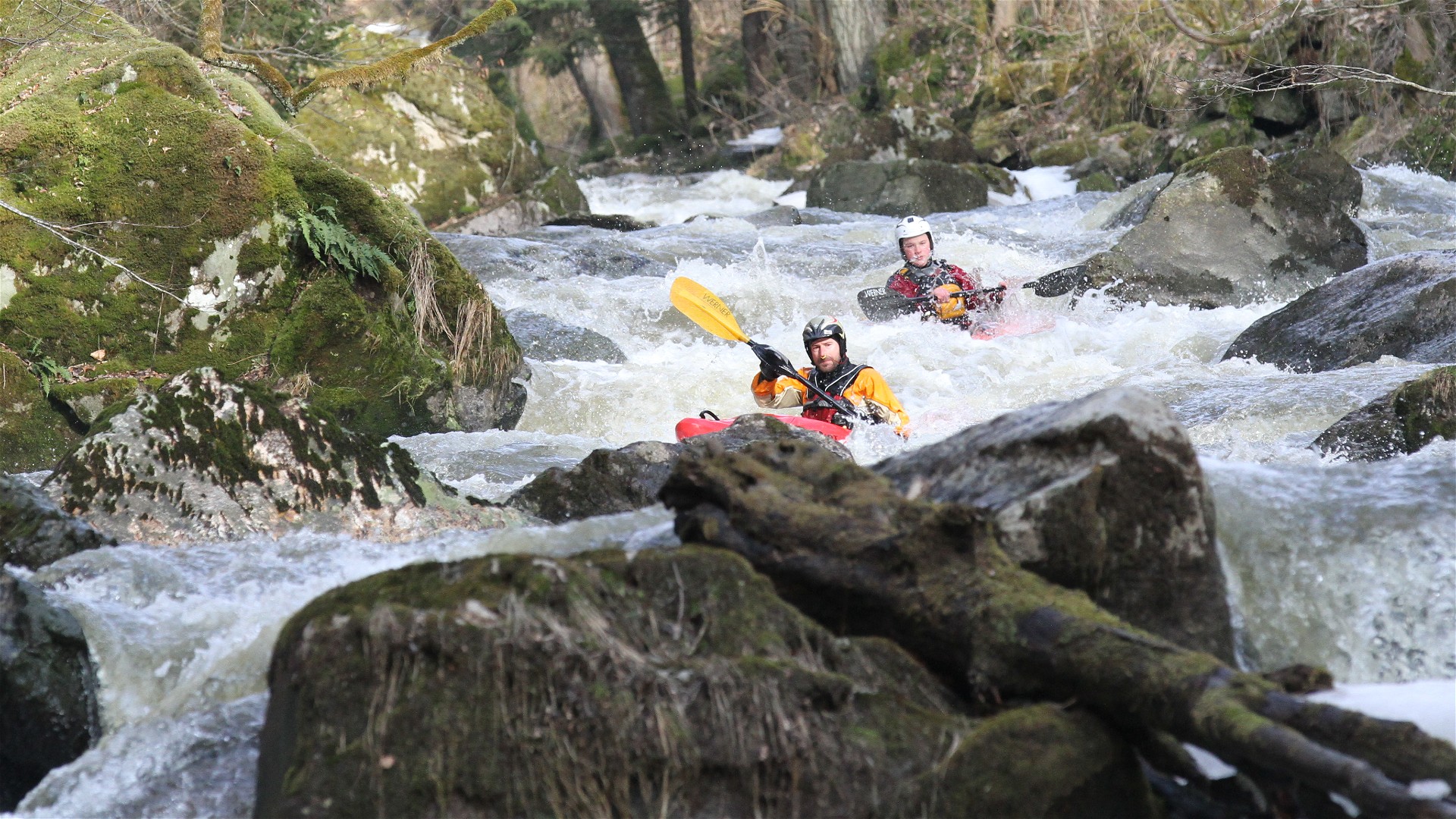 Kajak, Fluss Große Rodl, Abschnitt Gramastetten - Rottenegg Straßenkurve 