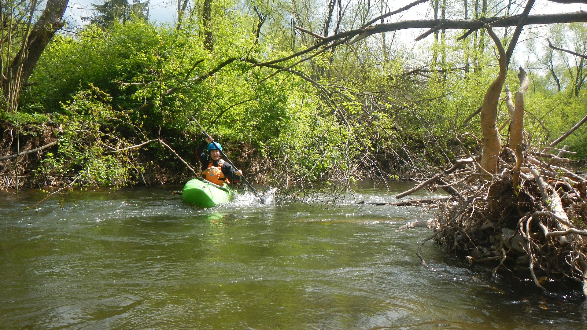 Kajak, Fluss Váh (Waag), Abschnitt Králova Lehota - Liptovsky Hradok einige Baumhindernisse am Čierny Váh 🛶 Patricia K.