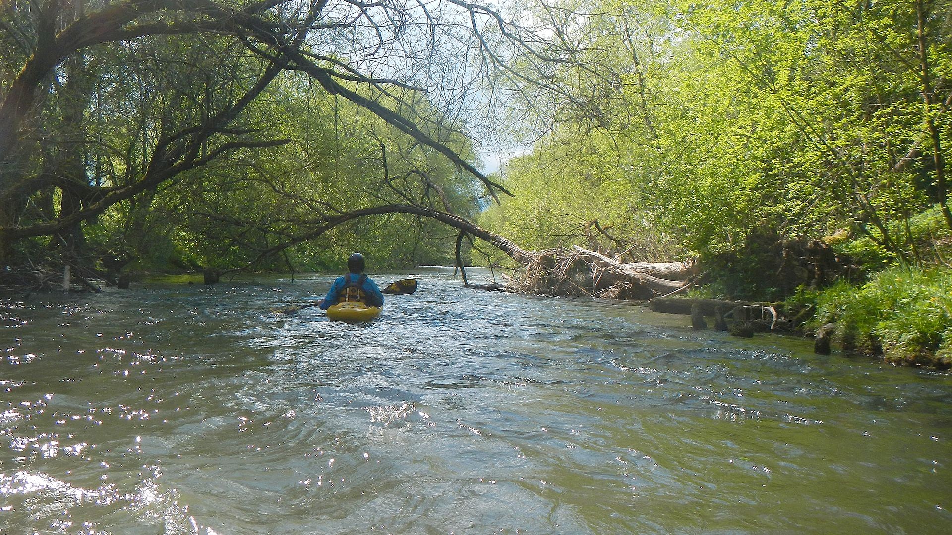 Kajak, Fluss Váh (Waag), Abschnitt Králova Lehota - Liptovsky Hradok schöner Waldfluss 🛶 Franz H.