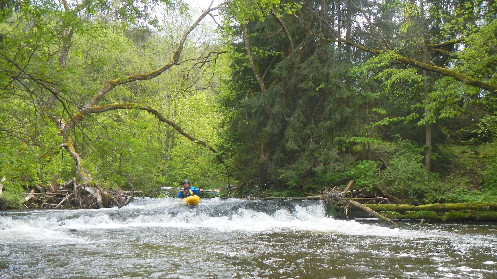 Kajak, Fluss Biely Váh, Abschnitt Východná - Králova Lehota Stufe 🛶 Franz H.