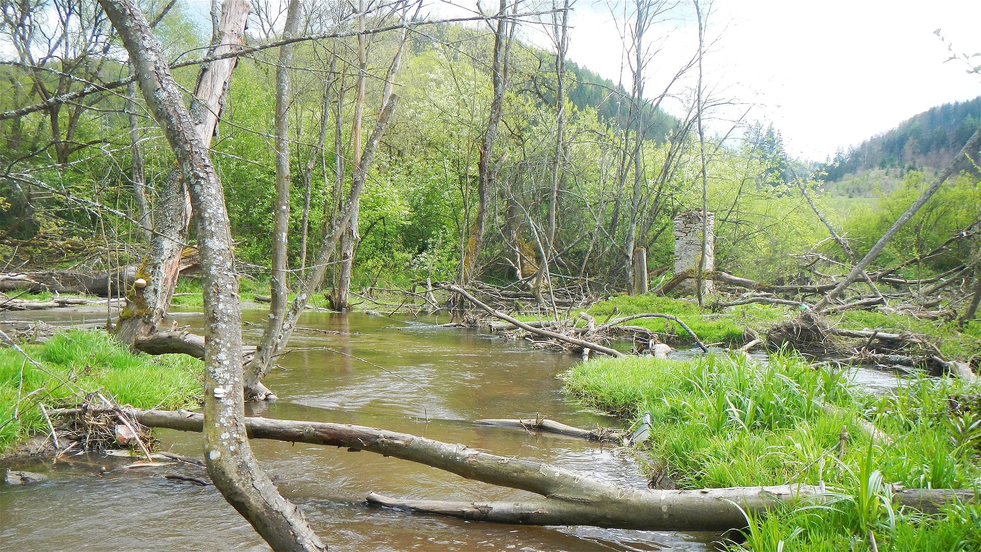 Kajak, Fluss Biely Váh, Abschnitt Východná - Králova Lehota Umtrager bei der Mühlenruine 