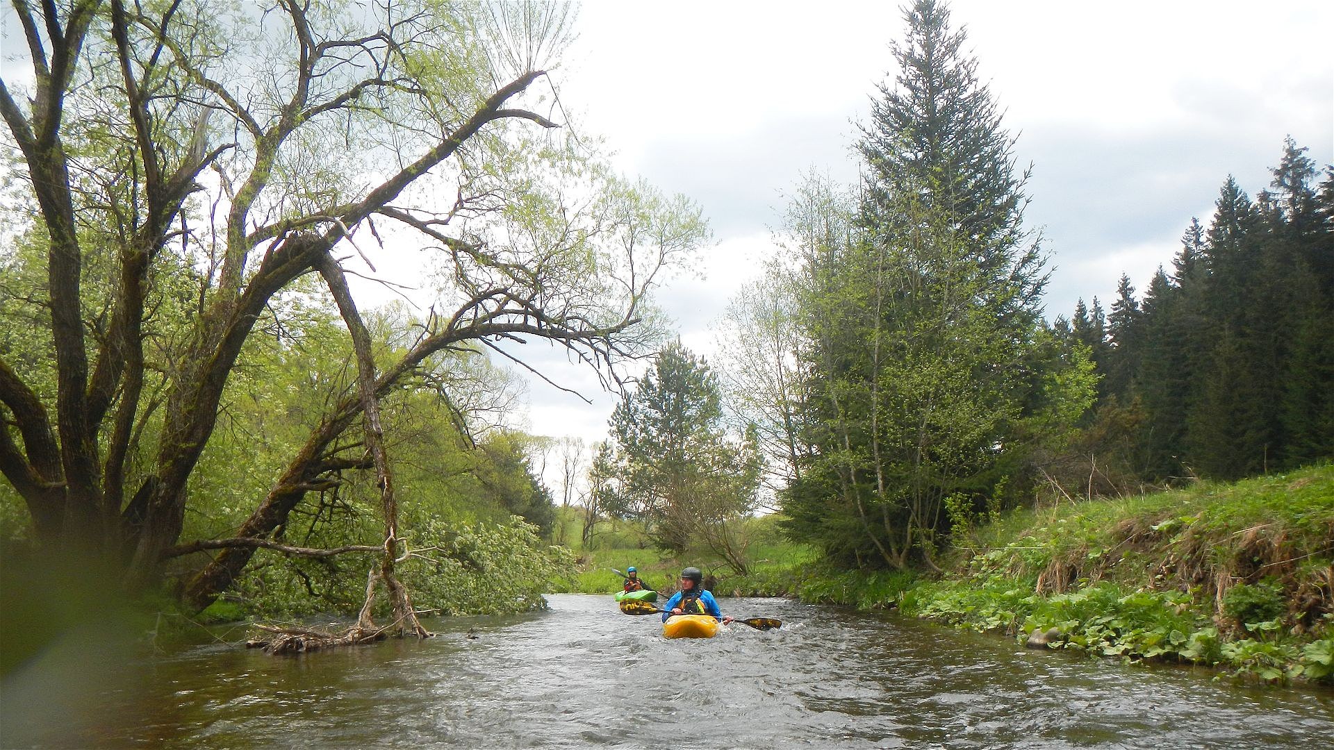 Kajak, Fluss Biely Váh, Abschnitt Východná - Králova Lehota im Mäanderteil 🛶 Franz H., Patricia K.