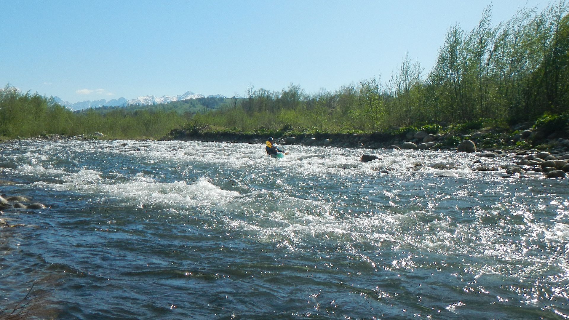 Kajak, Fluss Bialka, Abschnitt Javorinka Mündung - Trybsz Brücke flotter Fluss 🛶 Tom R.