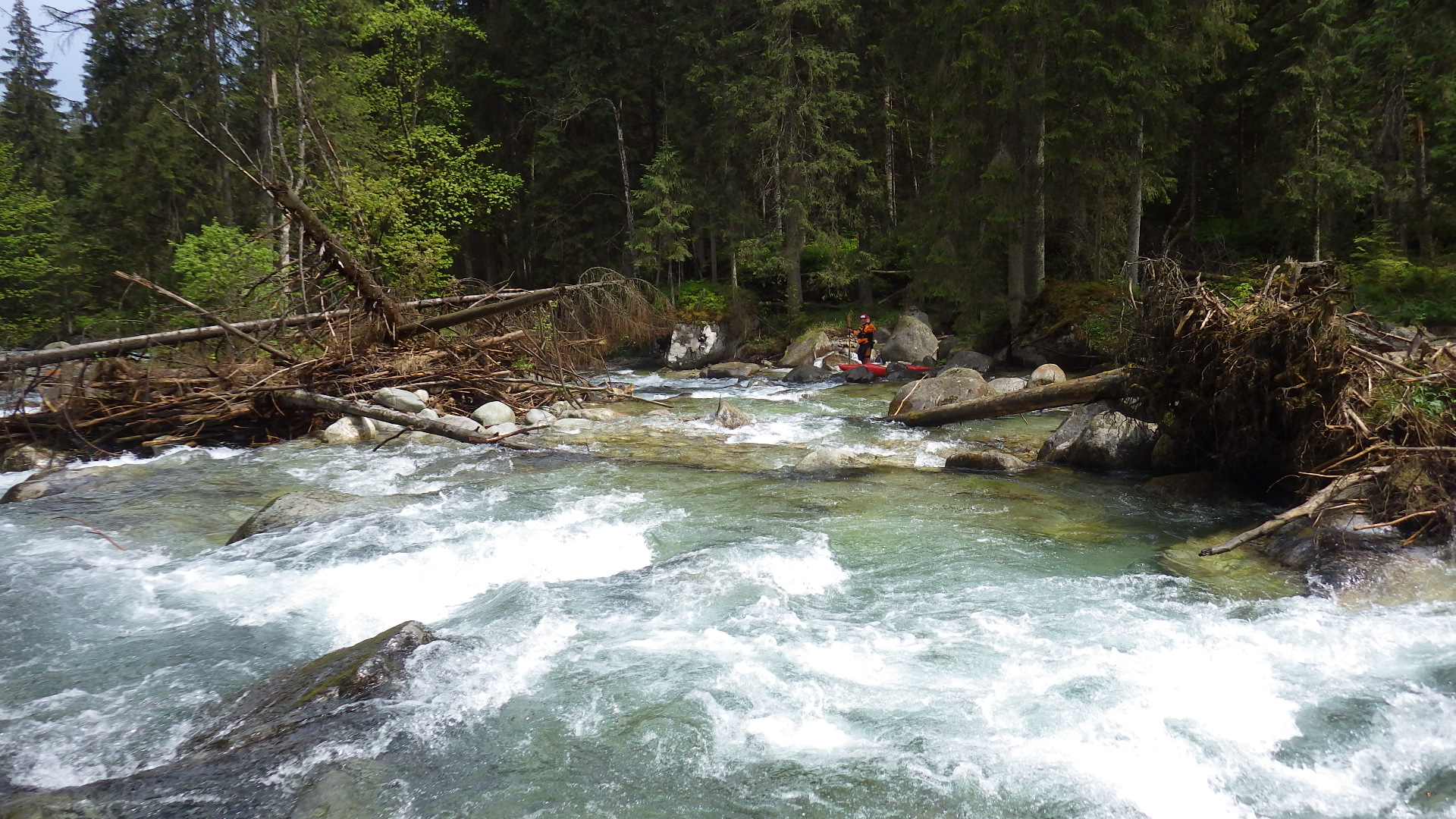 🛶 Peter F. (© Jörg Z. 27.5.16) Kajak, Fluss Bialka, Abschnitt Lysa Polana - Javorinka Mündung die erste verblockte Gefällestrecke 🛶 Peter F.