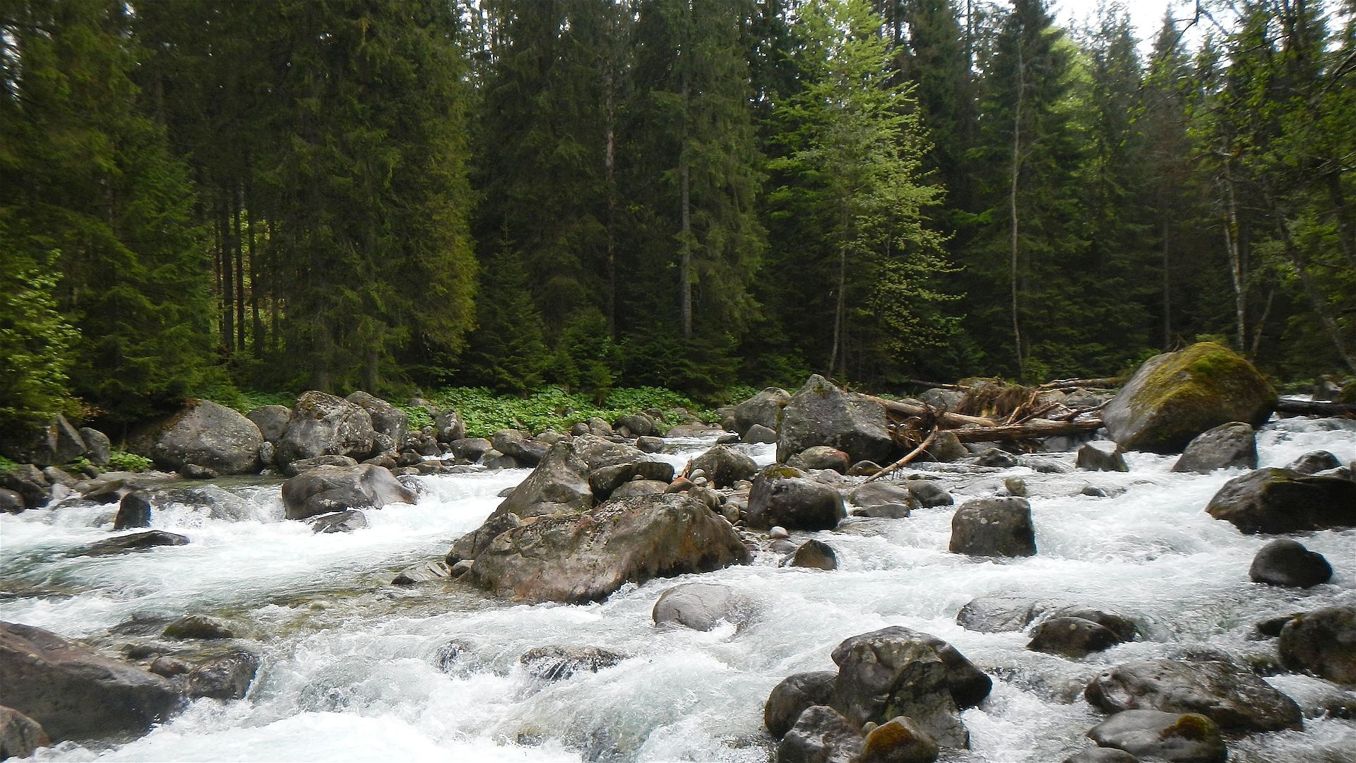 © Peter F. 27.5.16 Kajak, Fluss Bialka, Abschnitt Lysa Polana - Javorinka Mündung Katarakt