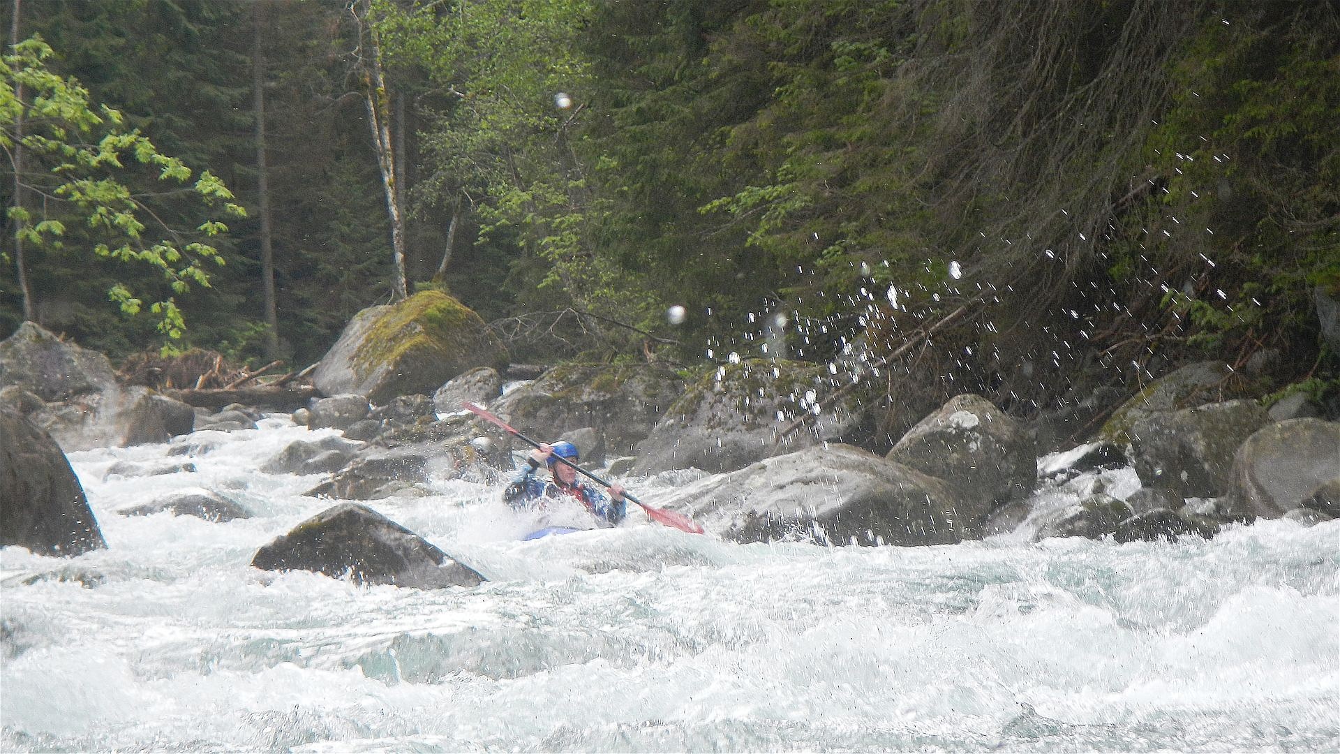 🛶 Jörg Z. (© Peter F. 27.5.16) Kajak, Fluss Bialka, Abschnitt Lysa Polana - Javorinka Mündung weiterer Katarakt 🛶 Jörg Z.