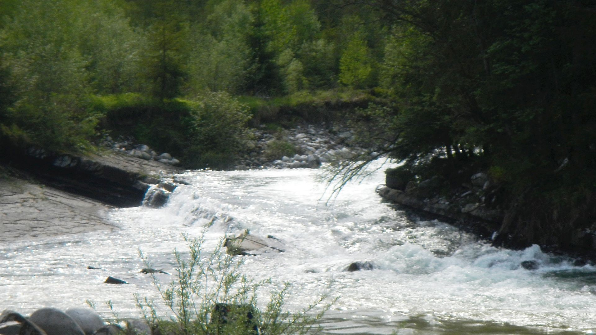 © Peter F. 27.5.16 Kajak, Fluss Bialka, Abschnitt Lysa Polana - Javorinka Mündung Stufe vor der Javorinka Mündung