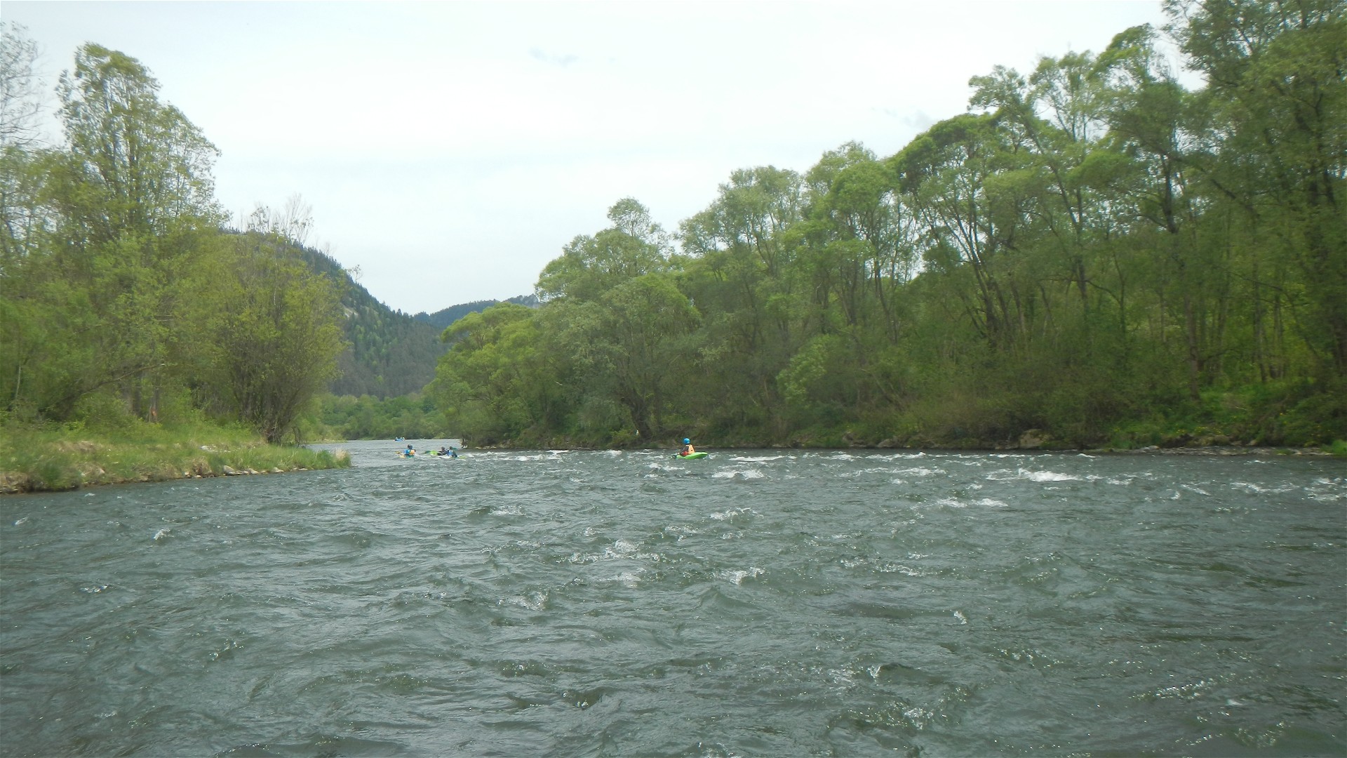 Kajak, Fluss Dunajec, Abschnitt Stromowce Wyzne - Kroscienko anfangs Wald- und Wiesenfluss 🛶 Franz H., Tom R., Patricia K.