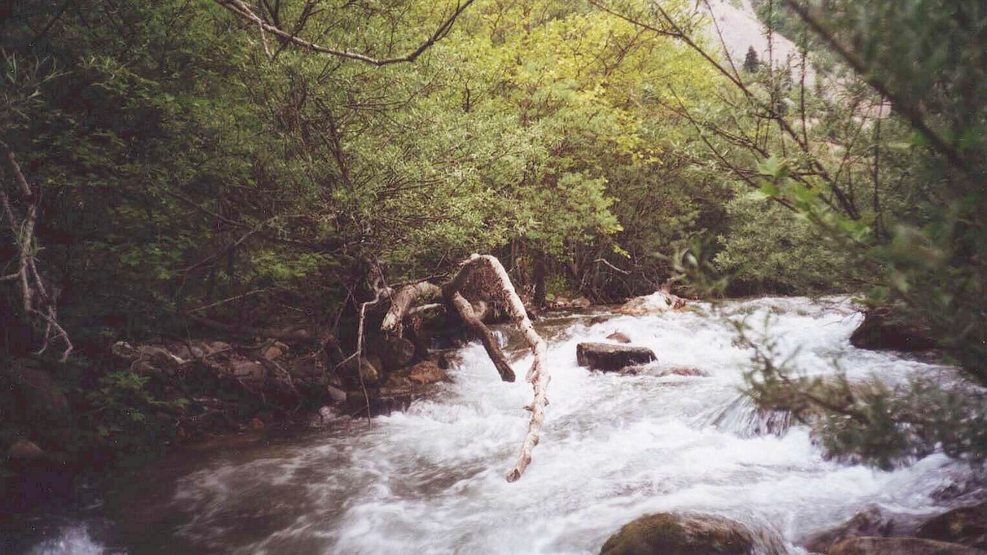 Kajak, Fluss Acheloos, Abschnitt Polythea - Armatoliko (Oberlauf) Baumhindernis 