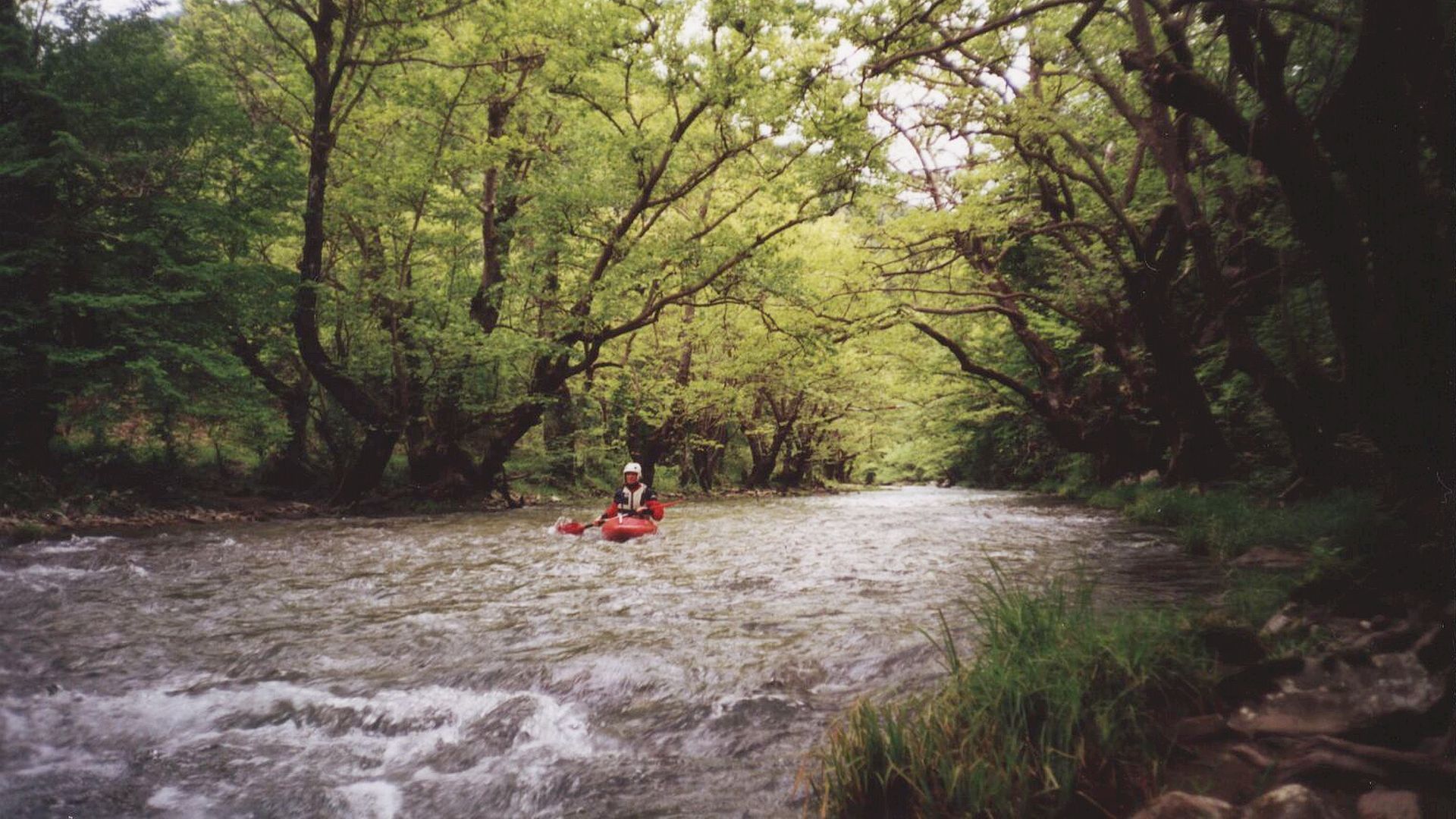 Kajak, Fluss Langafzas, Abschnitt Haravgi - Vrosina (Platanenschlucht) herrliche Platanenallee 🛶 Ulli F.
