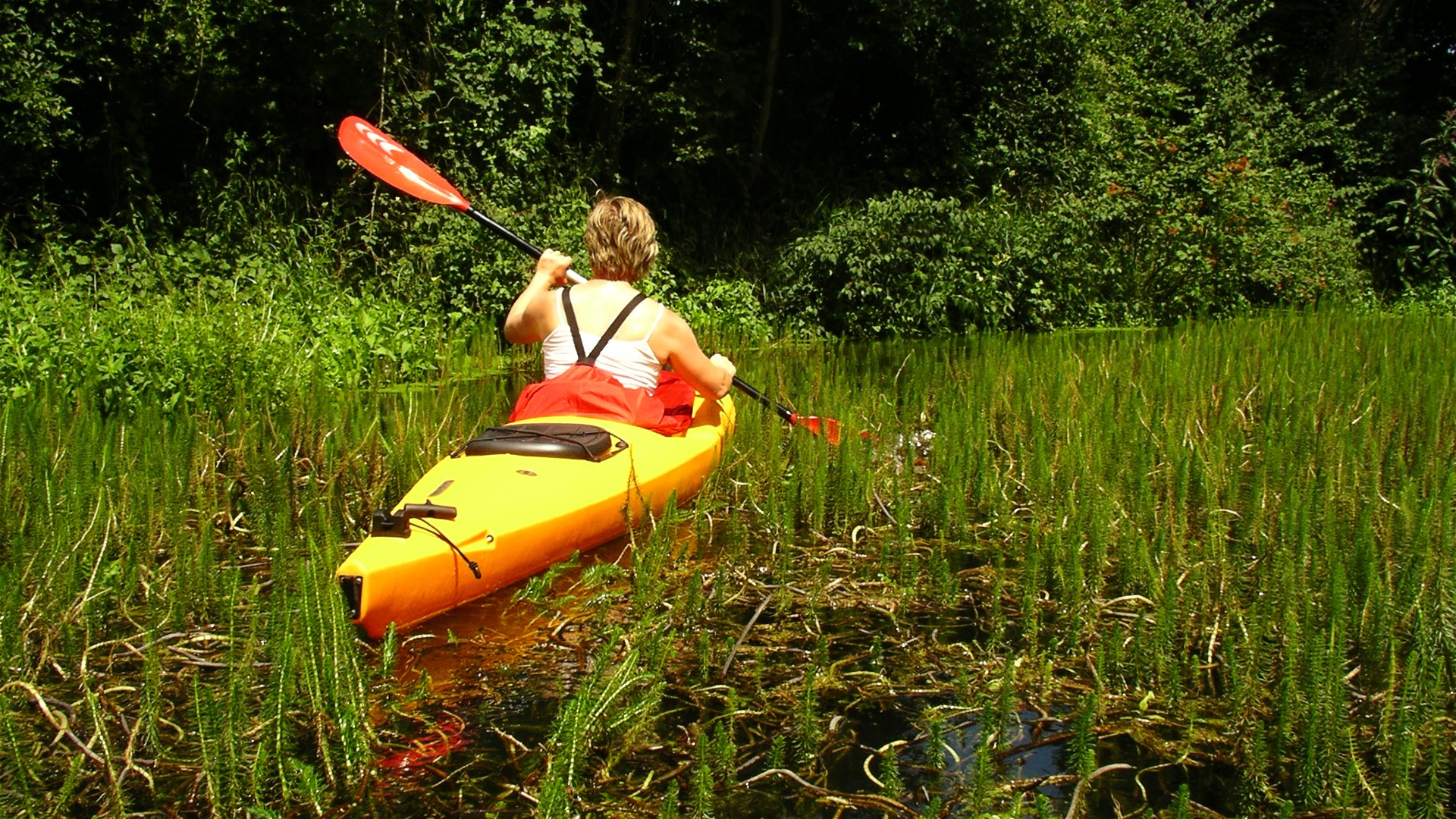 Kajak, Fluss Kößlarner Bach, Abschnitt Bärnau - Neuhaus Dschungelbach 🛶 Martha R.