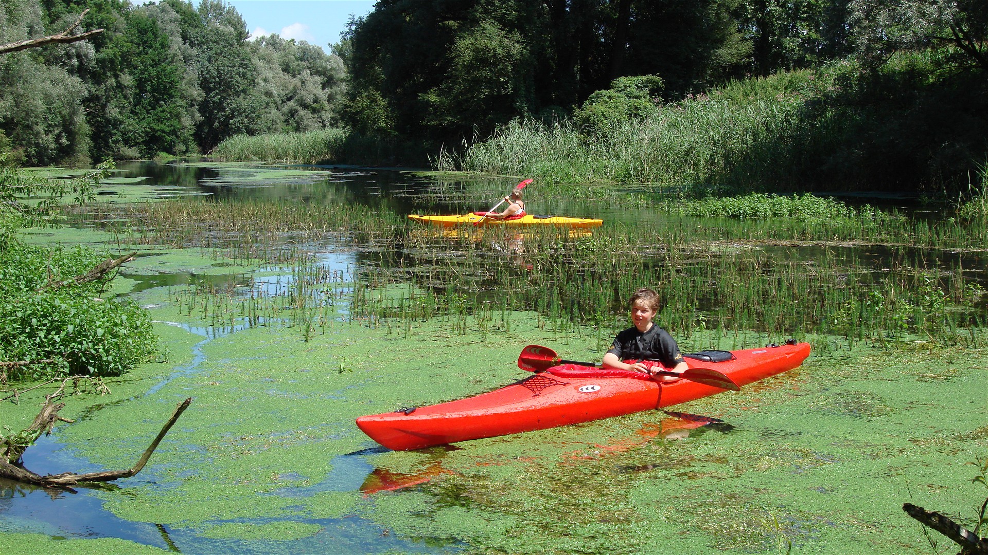 Kajak, Fluss Kößlarner Bach, Abschnitt Bärnau - Neuhaus Natur pur 🛶 Max R., Martha R.