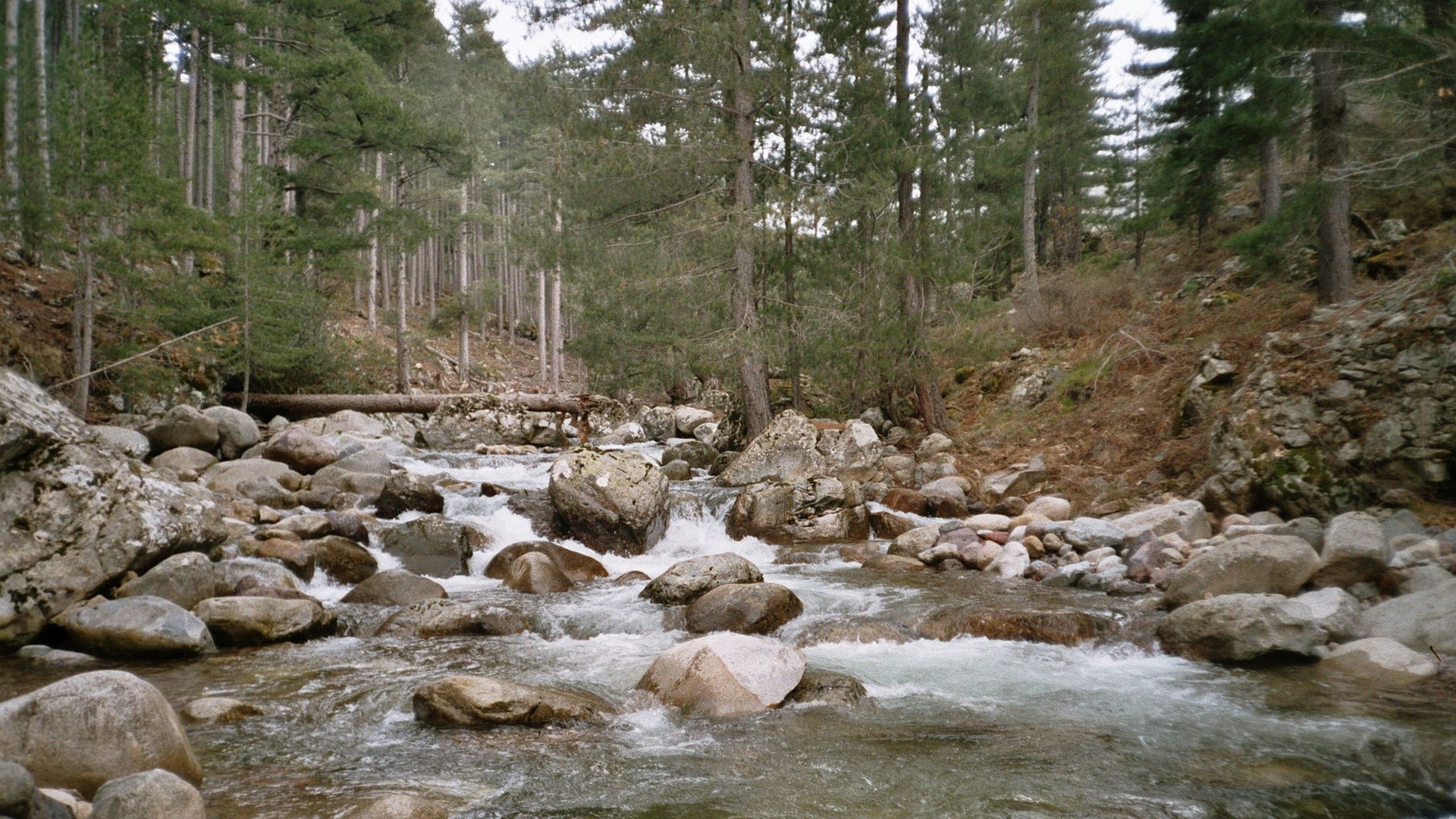 Kajak, Fluss Calasima, Abschnitt Calasima - Golo Mündung stark verblockt im ersten Teil 