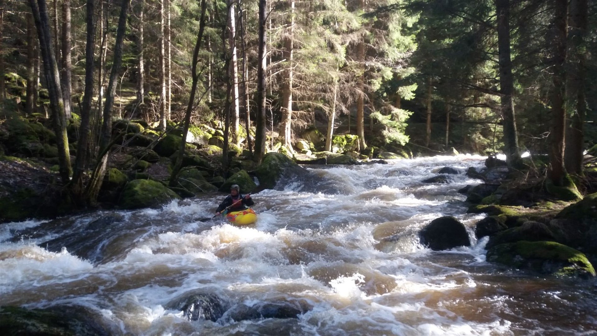 Kajak, Fluss Kleiner Kamp, Abschnitt Wiesmühle - Rapottenstein (Schütt) schönes Wildwasser 