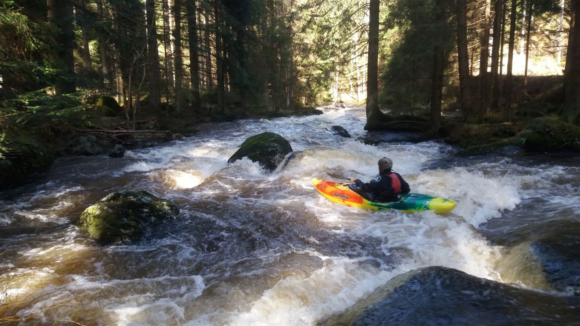 Kajak, Fluss Kleiner Kamp, Abschnitt Wiesmühle - Rapottenstein (Schütt) schönes Wildwasser 