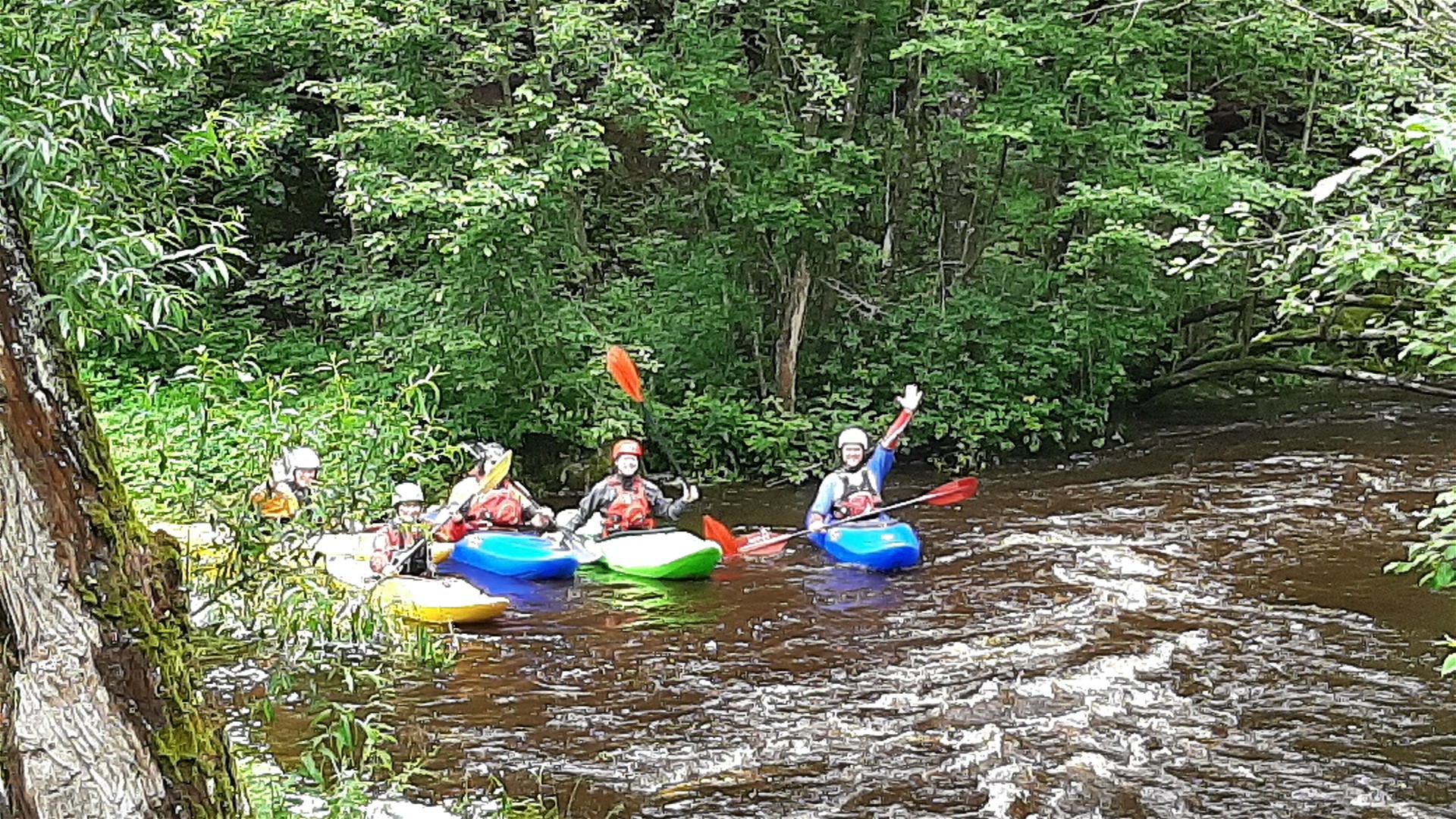 Kajak, Fluss Großer Kamp, Abschnitt Heumühle - Ritterkamp Einstieg Heumühle 