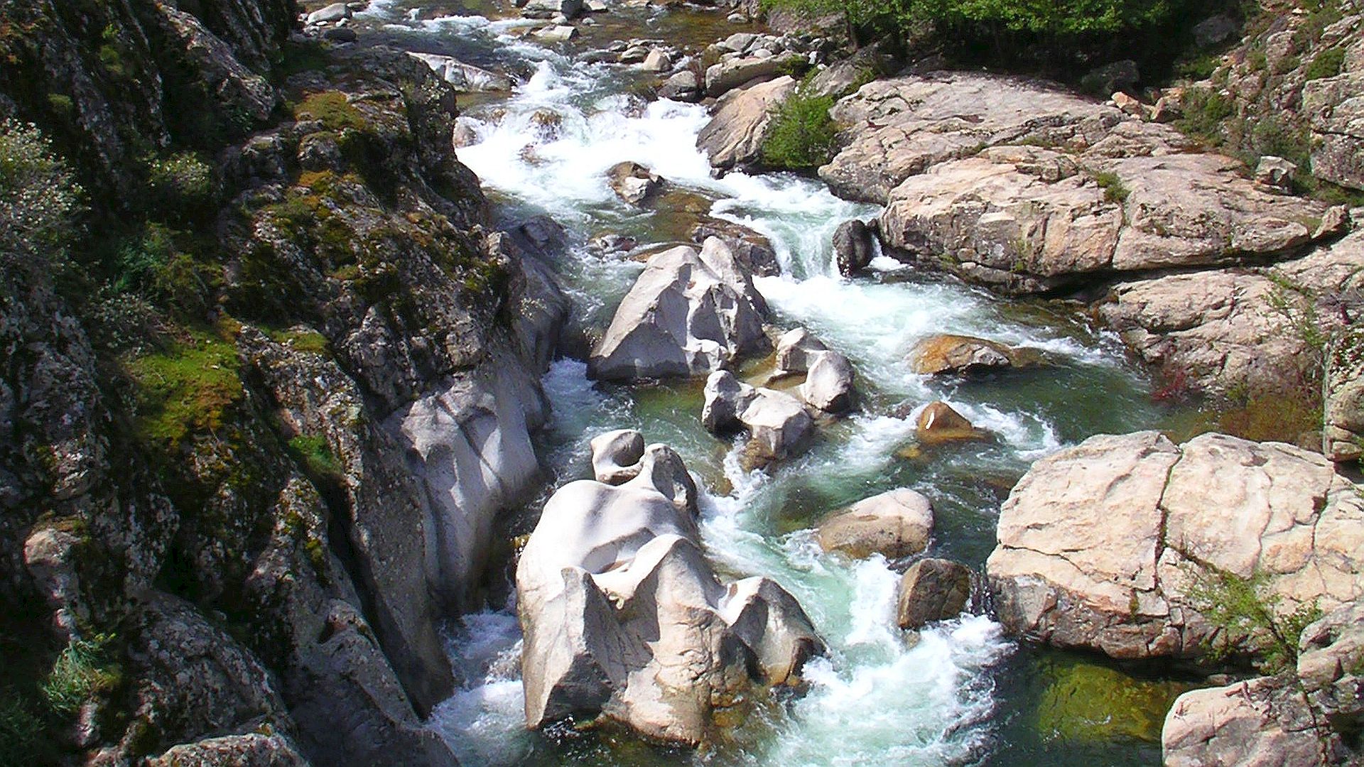 Kajak, Fluss Golo, Abschnitt Forsthaus - Calasima Mündung (Oberster Golo) kurz vor dem Ausstieg 