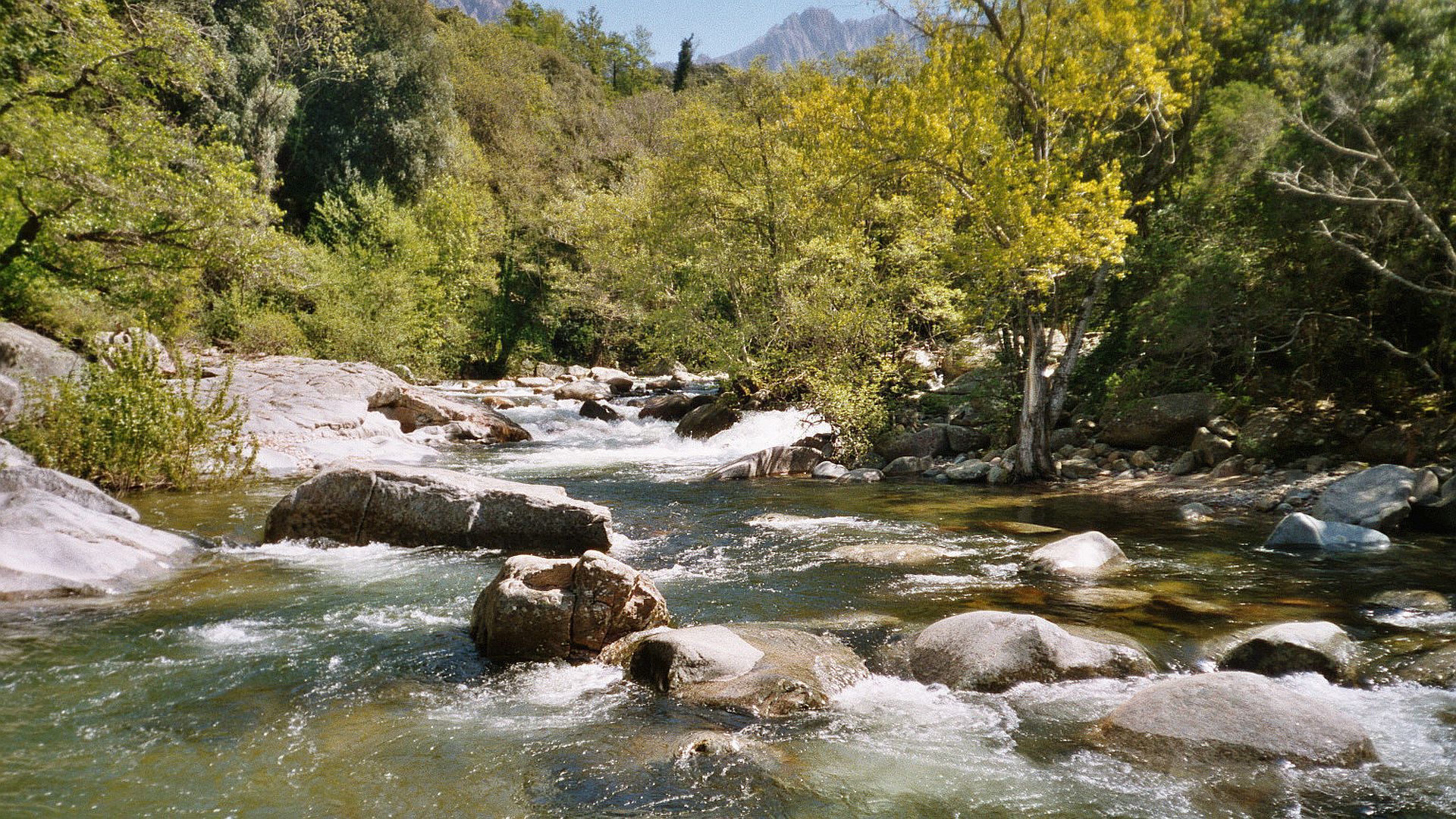 Kajak, Fluss Porto, Abschnitt Spelunca Schlucht - Porto im leichteren Mittelteil 