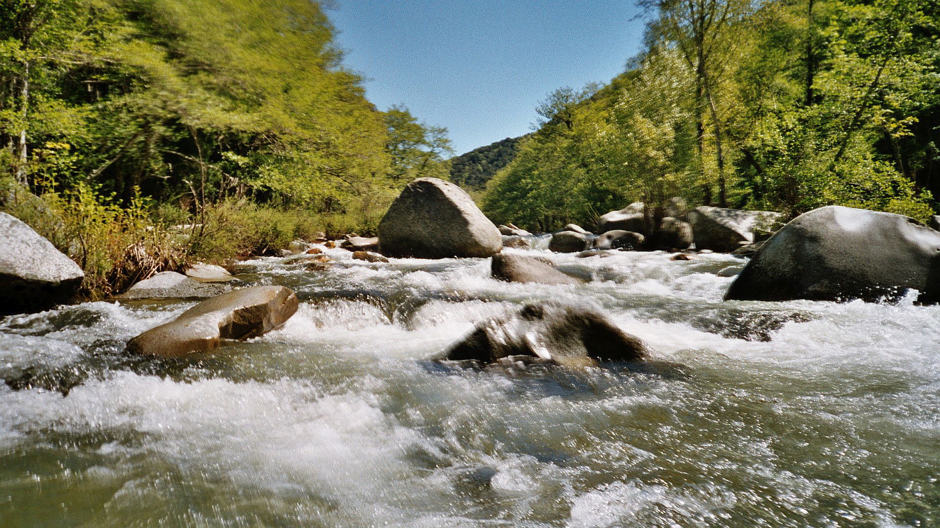 Kajak, Fluss Taravo, Abschnitt Olivese - Brücke N2196 (DKV 3. Etappe) viele verblockte Passagen 