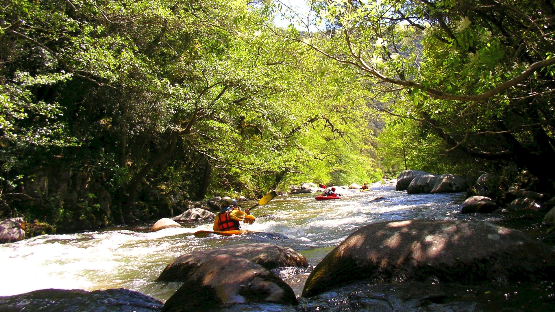 Kajak, Fluss Taravo, Abschnitt Brücke N2196 - Pont de Calzola (DKV 4. Etappe) schöner Waldfluss 🛶 LFC