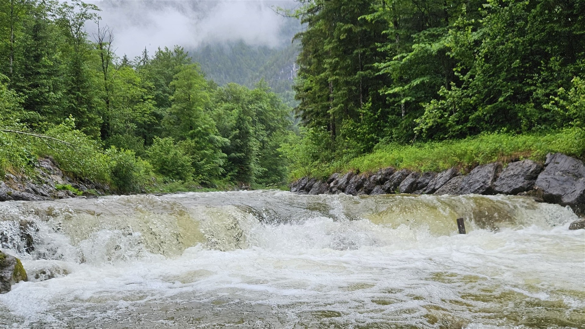 Kajak, Fluss Gosaubach, Abschnitt Ausleitungsstrecke Eisenträger oberhalb der Brücke! 