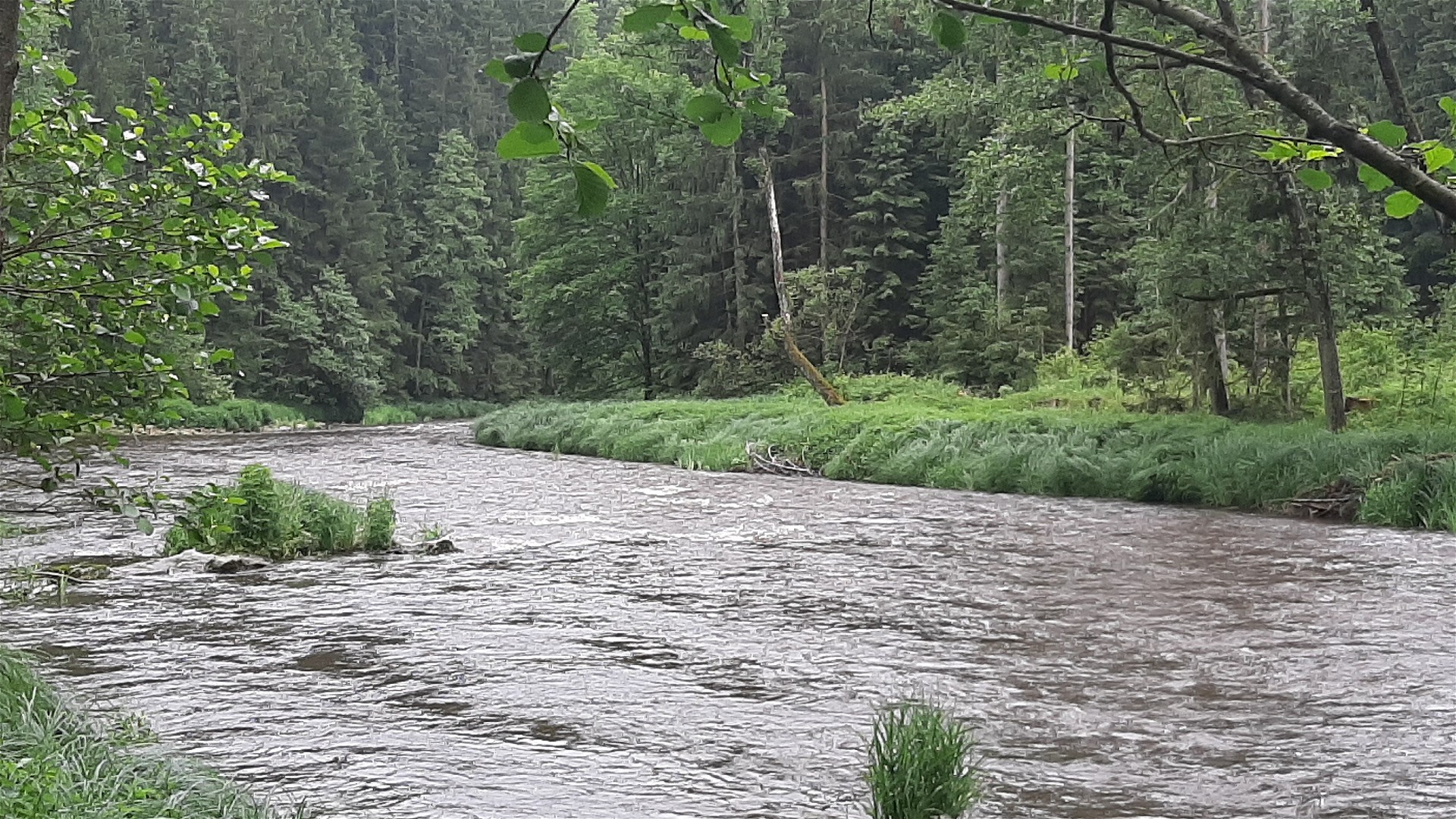 Kajak, Fluss Große Mühl, Abschnitt Haslach - Stausee Neufelden unterhalb der Iglmühle 