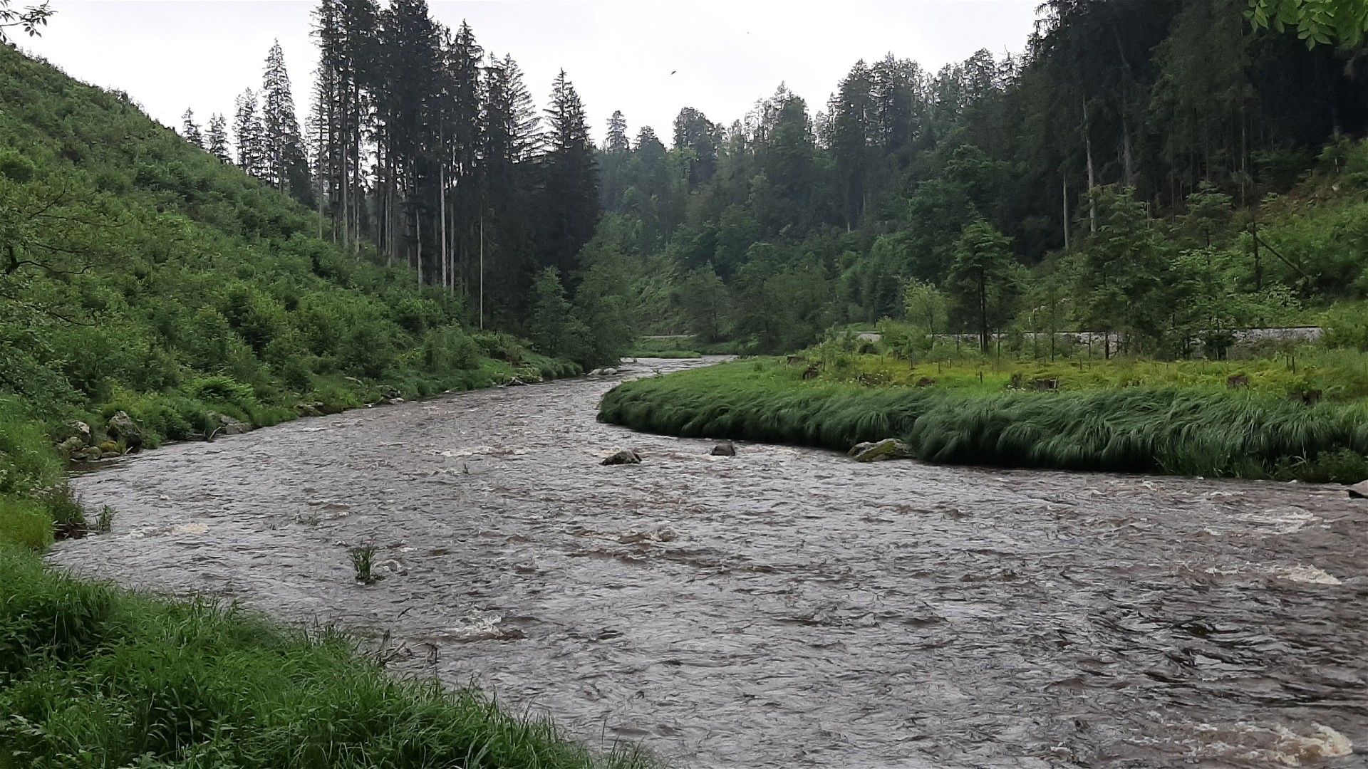 Kajak, Fluss Große Mühl, Abschnitt Haslach - Stausee Neufelden unterhalb der Iglmühle 