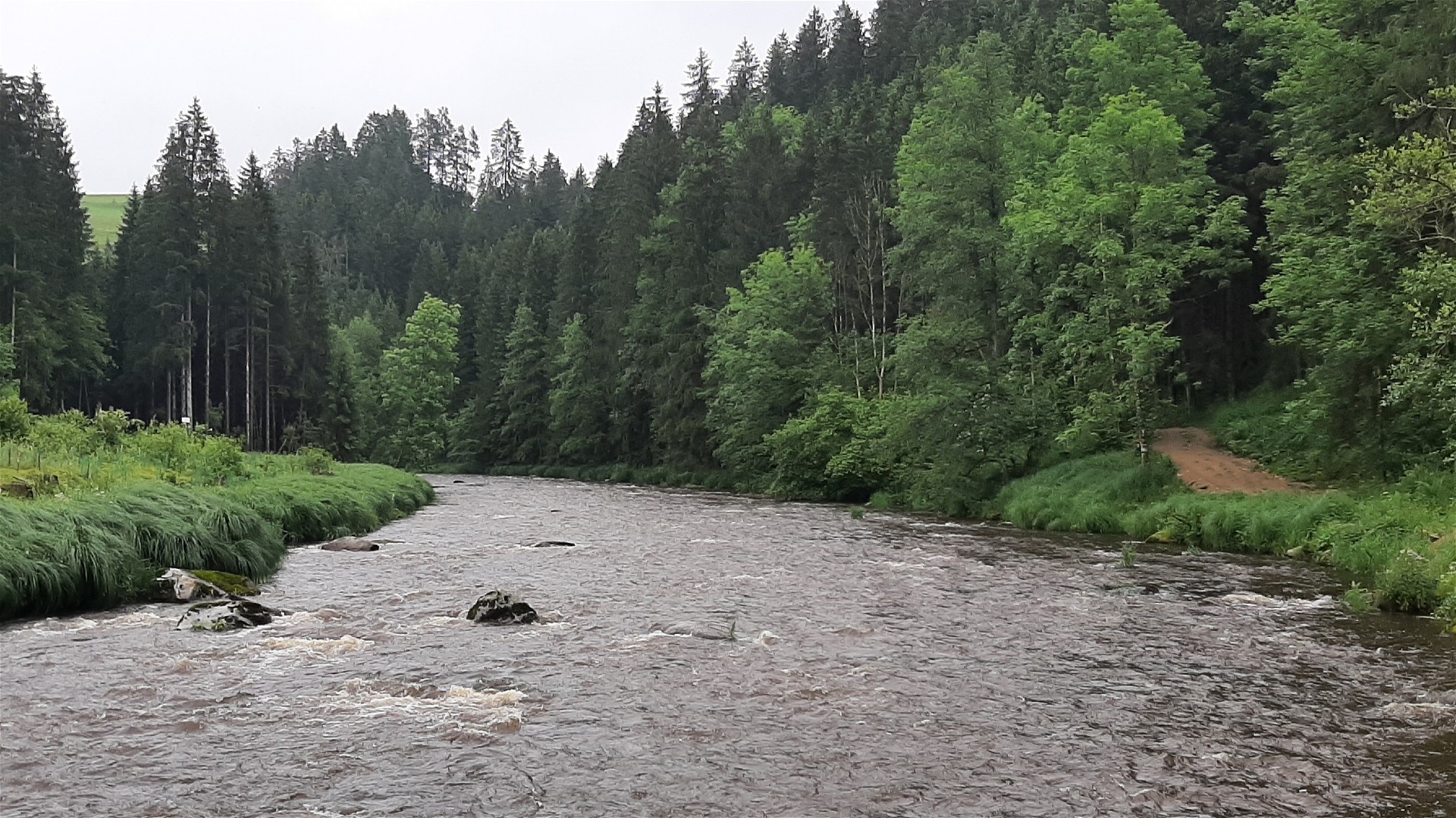 Kajak, Fluss Große Mühl, Abschnitt Haslach - Stausee Neufelden unterhalb der Iglmühle 