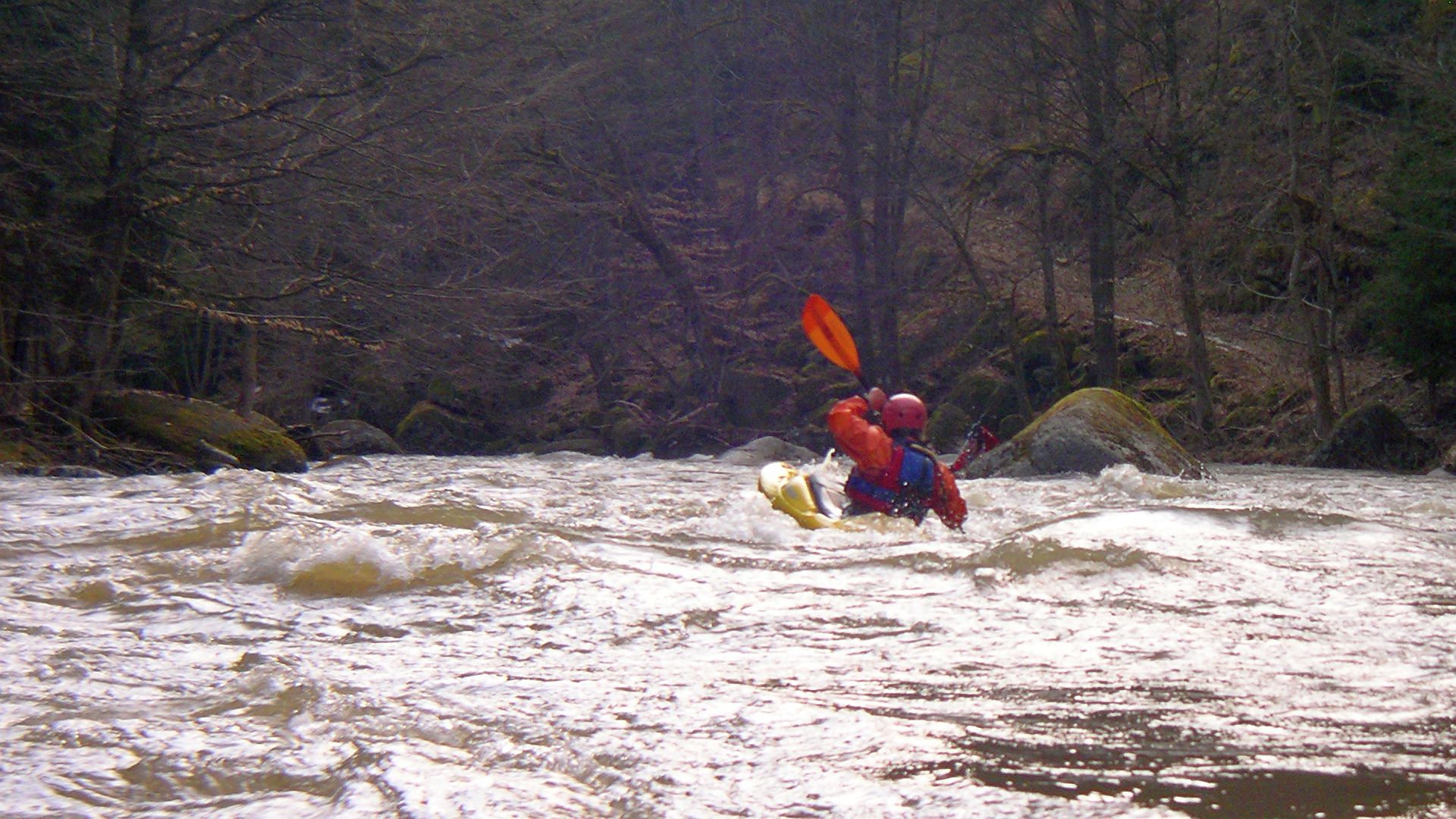 🛶 Monika R. (© Peter F. 4.4.06) Kajak, Fluss Feldaist, Abschnitt Selker - Pregarten (Obere Feldaist) schöner Waldfluss 🛶 Monika R.