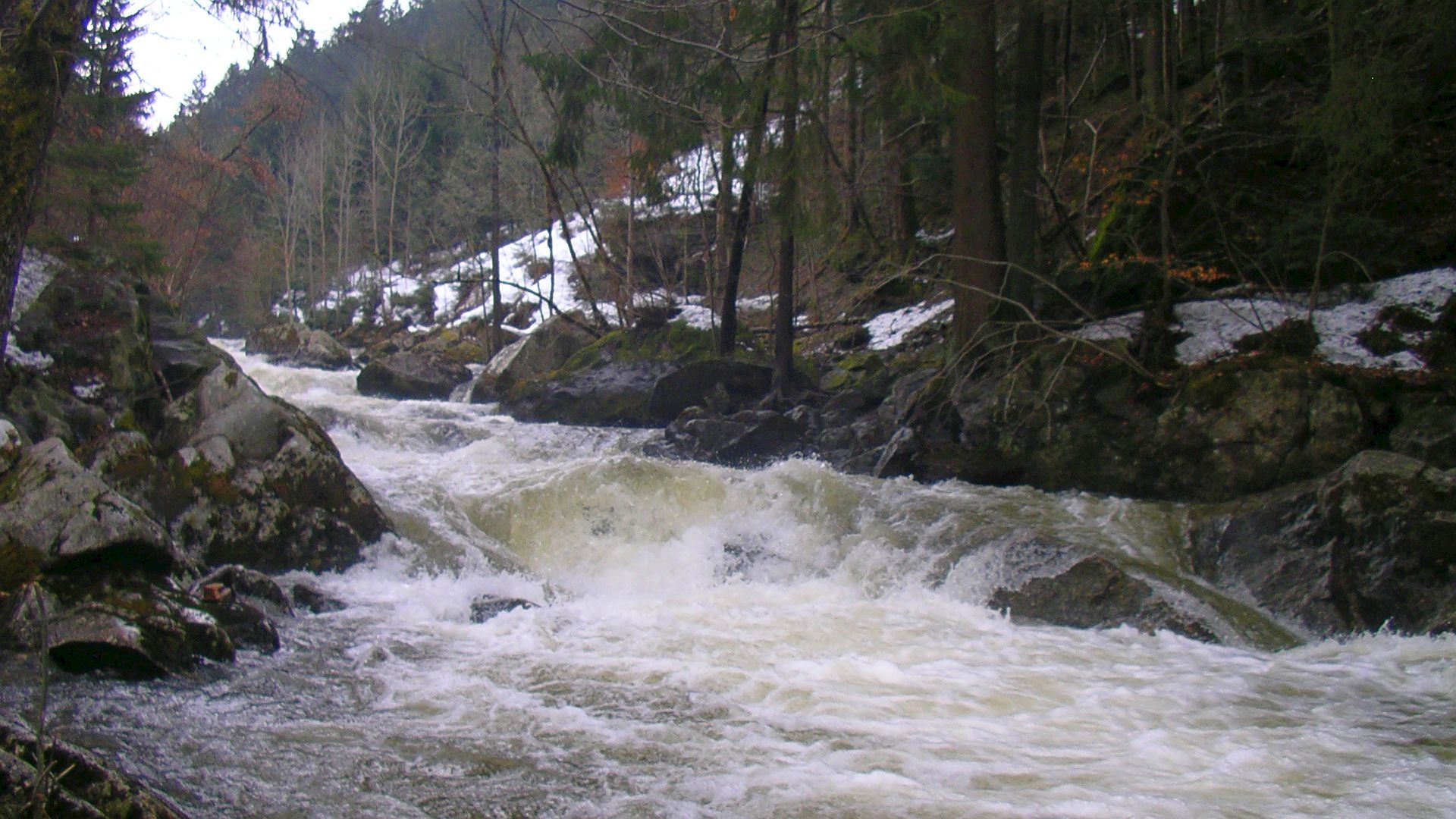 Kajak, Fluss Große Rodl, Abschnitt Untergeng - Grammastetten Kompression von unten 