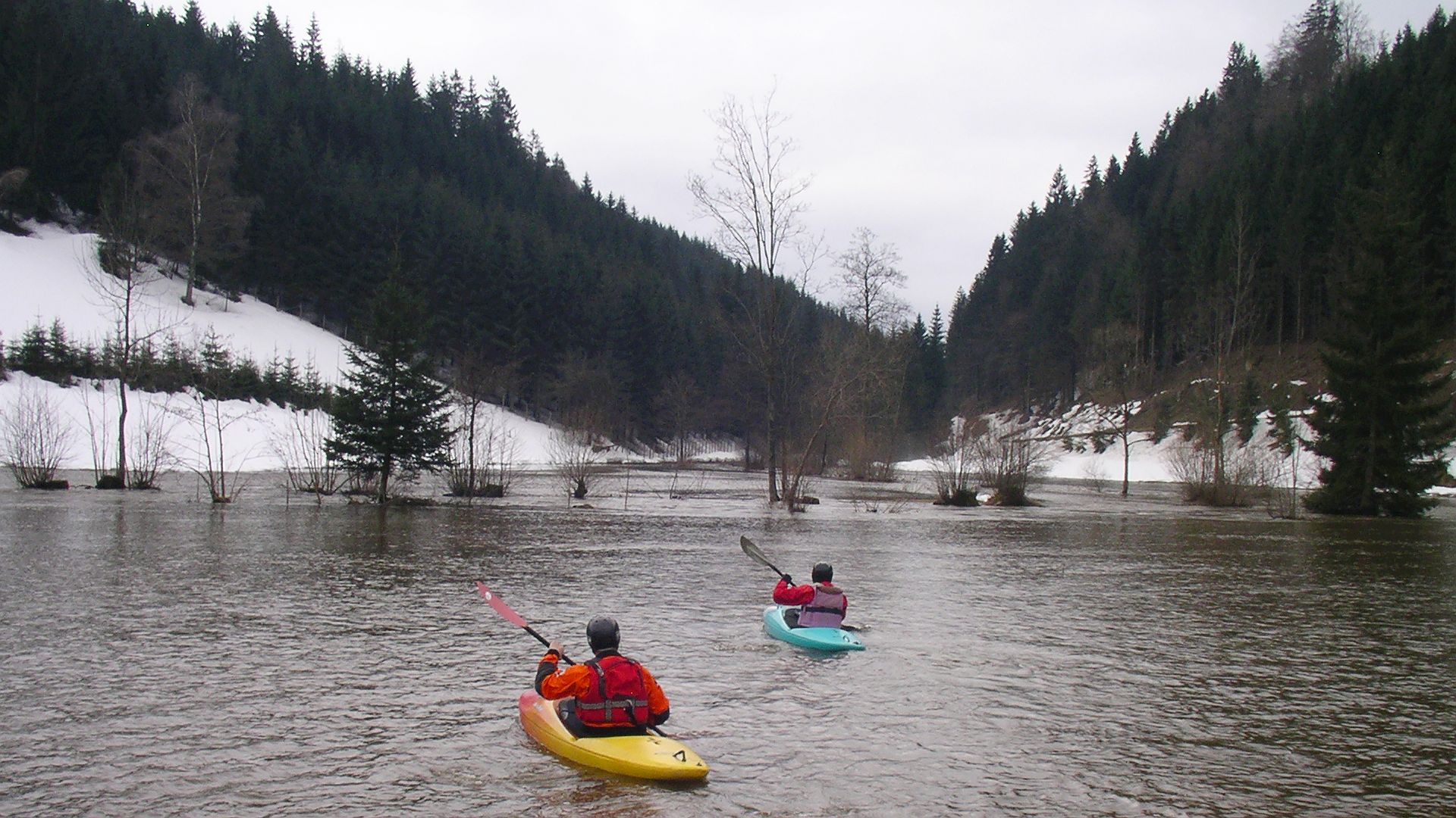 Kajak, Fluss Große Naarn, Abschnitt Ruine Ruttenstein - Pierbach HW beim Einstieg 🛶 LFC