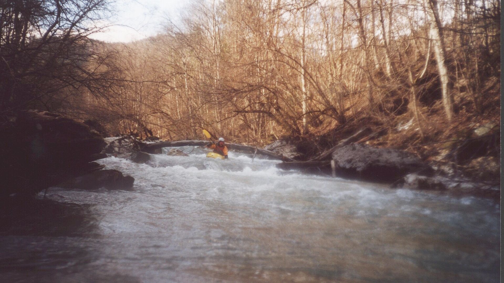 🛶 Stefan S. (© Peter F. 21.3.02) Kajak, Fluss Laussabach, Abschnitt Unterlaussa - Kraftwerk manchmal Baumhindernisse 🛶 Stefan S.