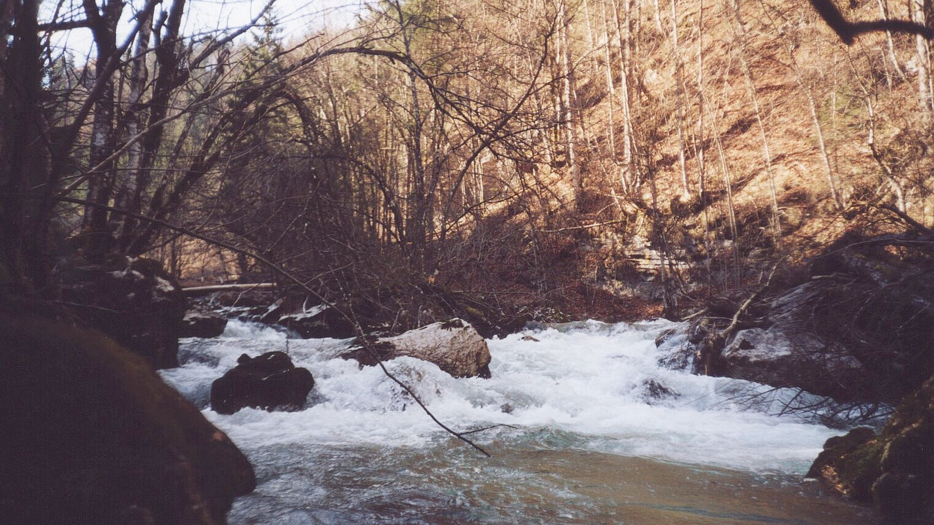 © Peter F. 21.3.02 Kajak, Fluss Laussabach, Abschnitt Unterlaussa - Kraftwerk Ende der WW III - IV Strecke