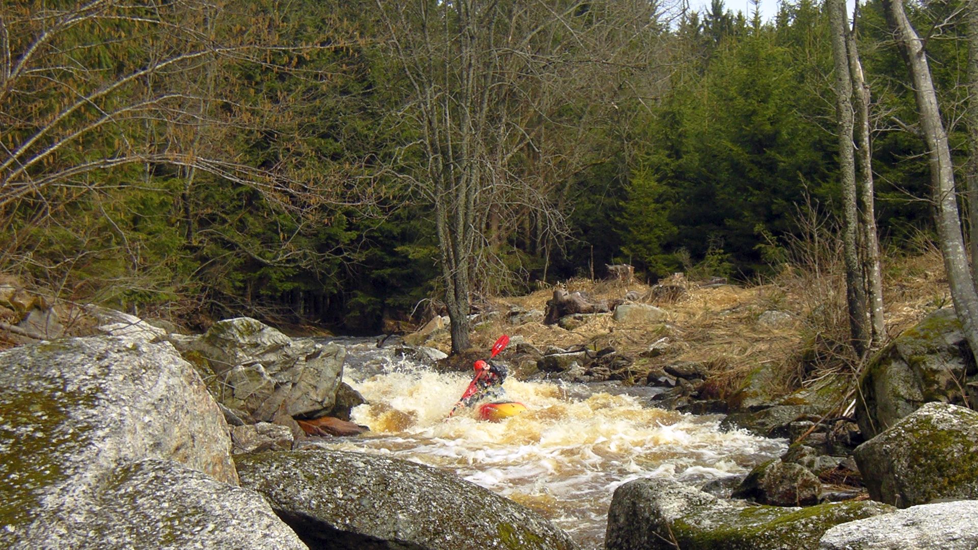 Kajak, Fluss Schwarze Aist, Abschnitt Harrachstal - Weitersfelden Gefälle gleich zu Beginn 🛶 Peter F.
