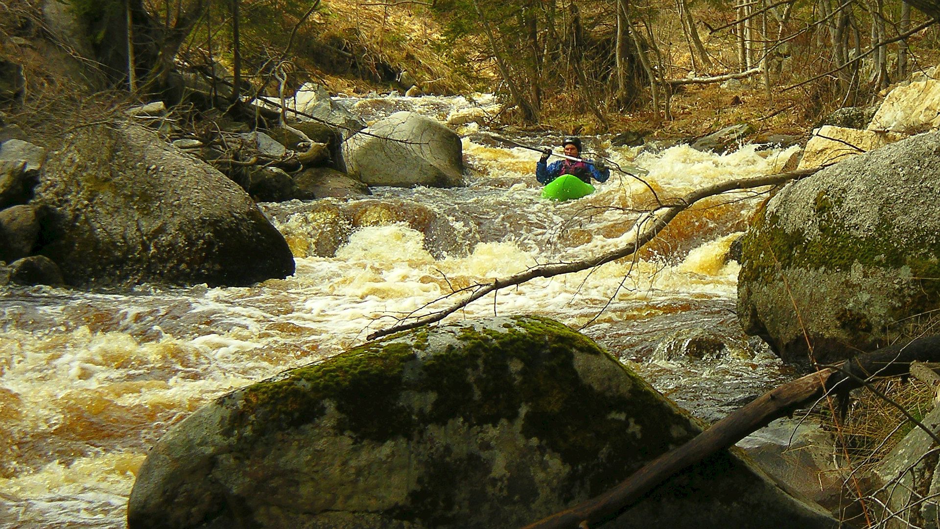 Kajak, Fluss Schwarze Aist, Abschnitt Harrachstal - Weitersfelden herrlicher Waldfluss 🛶 Werner R.