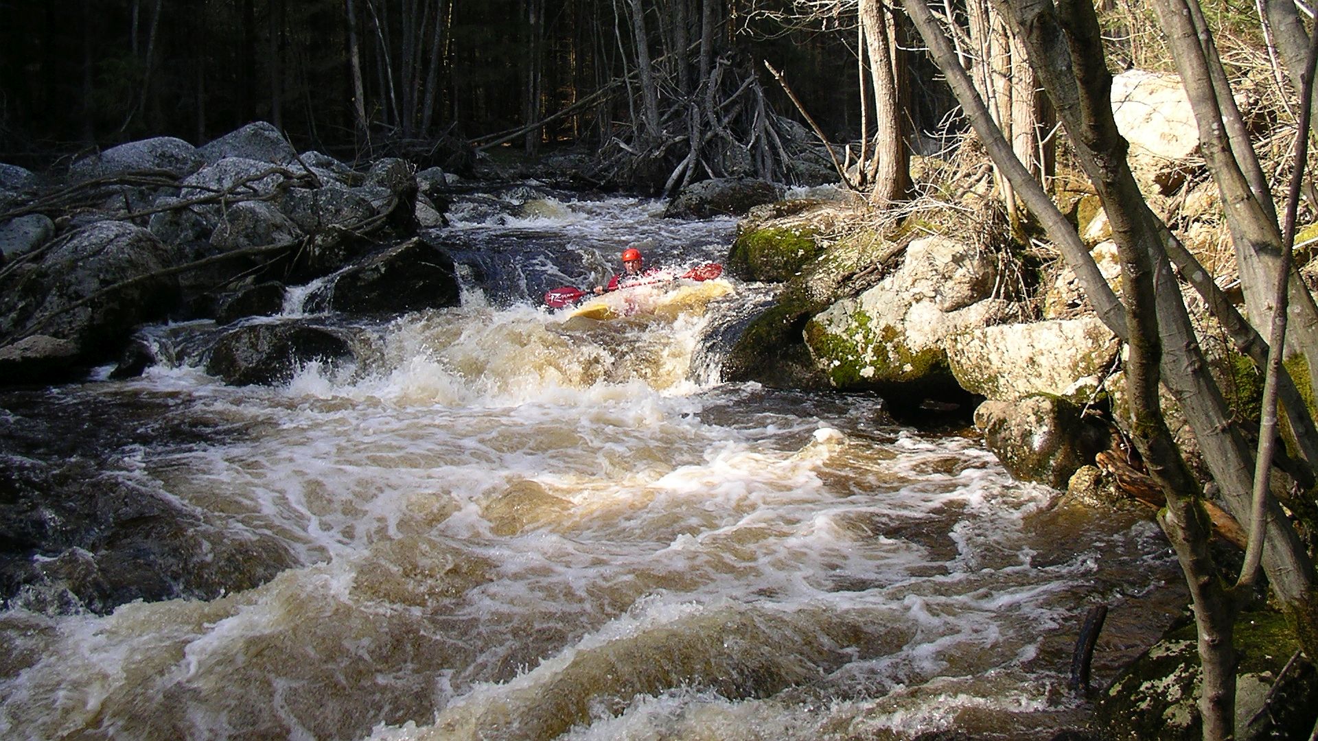 Kajak, Fluss Waldaist, Abschnitt Weitersfelden - Schwaighof stufiges Gefälle 🛶 Peter F.