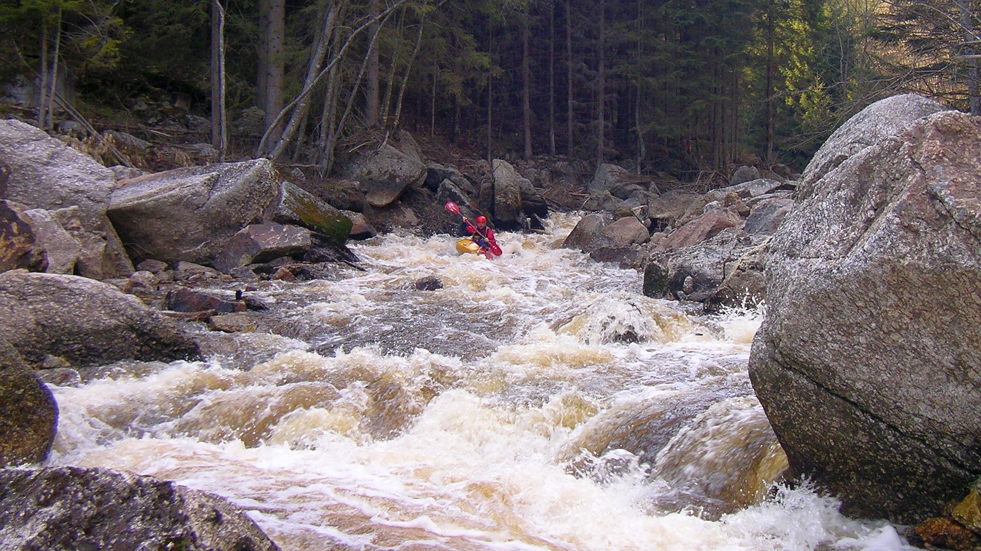 Kajak, Fluss Waldaist, Abschnitt Weitersfelden - Schwaighof noch ein Katarakt 🛶 Peter F.