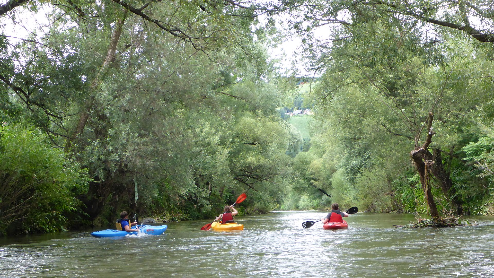 Kajak, Fluss Sulm, Abschnitt Gleinstätten - Leibnitz (Wanderstrecke) familientauglicher Wanderfluss 