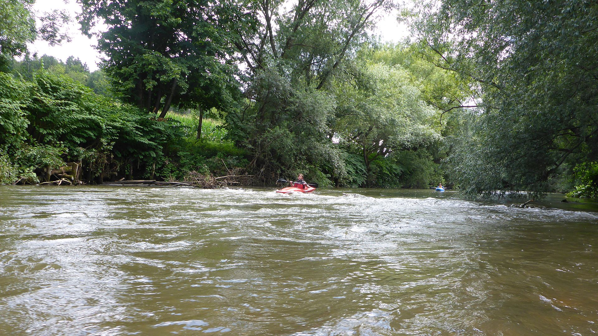Kajak, Fluss Sulm, Abschnitt Gleinstätten - Leibnitz (Wanderstrecke) attraktiv renaturiert 