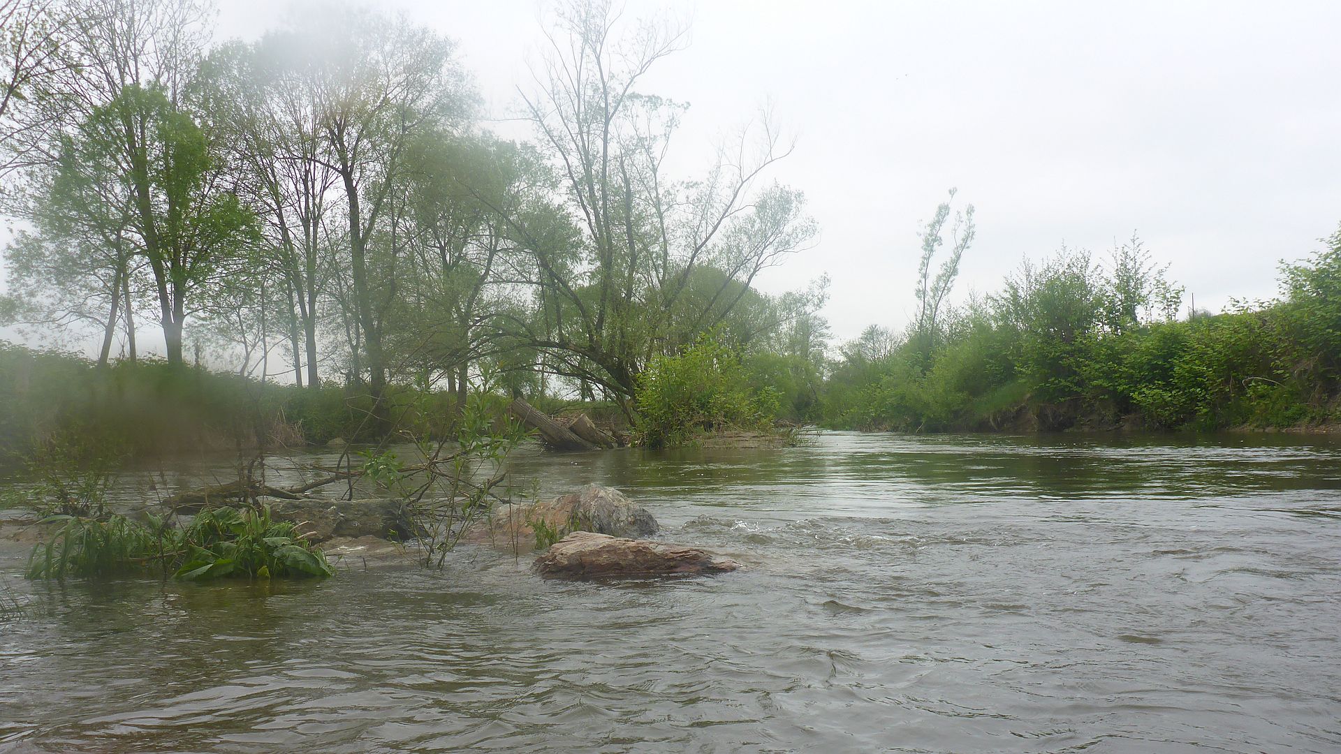 Kajak, Fluss Sulm, Abschnitt Gleinstätten - Leibnitz (Wanderstrecke) Insellandschaft 