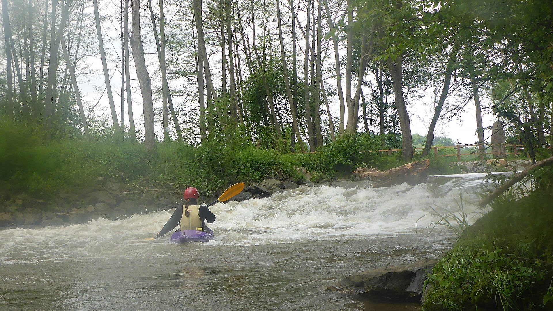 Kajak, Fluss Sulm, Abschnitt Gleinstätten - Leibnitz (Wanderstrecke) Stufe 