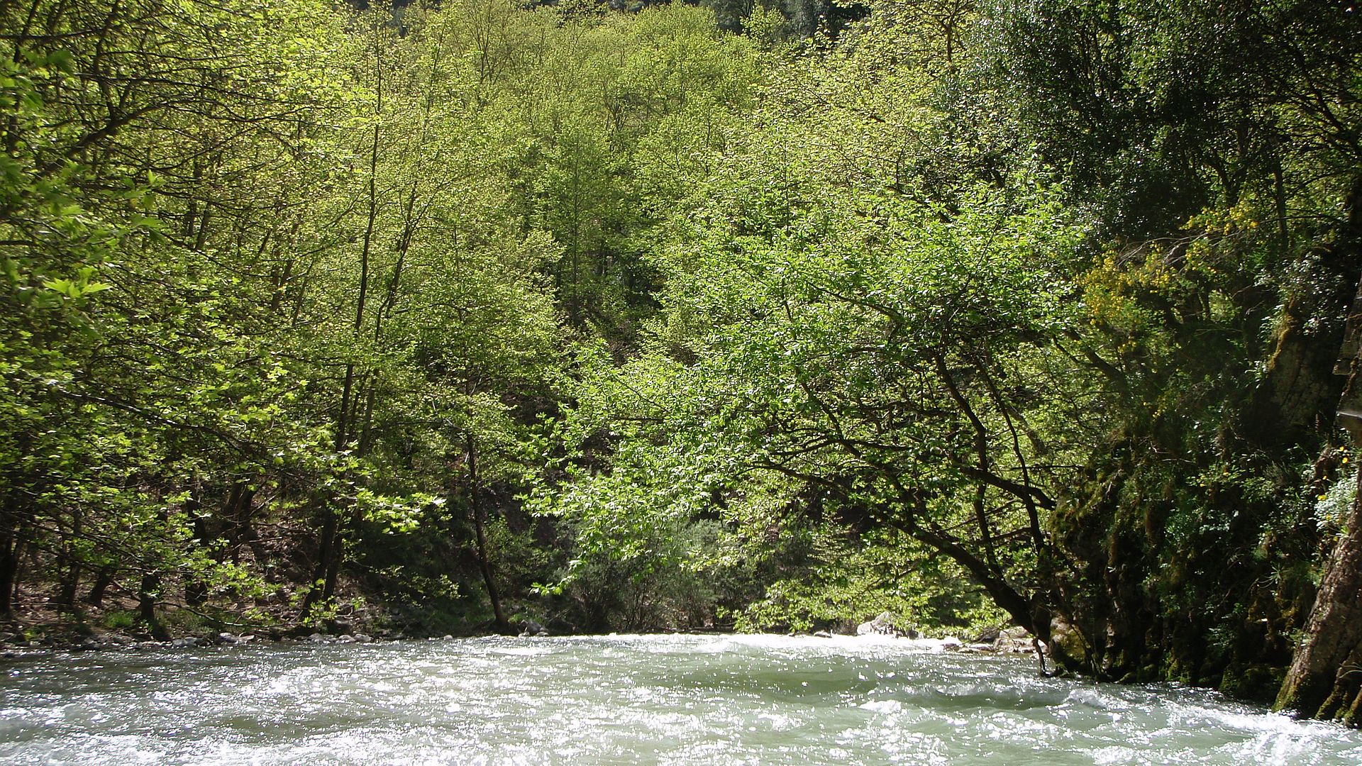 Kajak, Fluss Karpenisiotis, Abschnitt Karitsa - Dermati (Unterlauf Schlangenweg) abnehmende Schwierigkeiten zum Schluss 